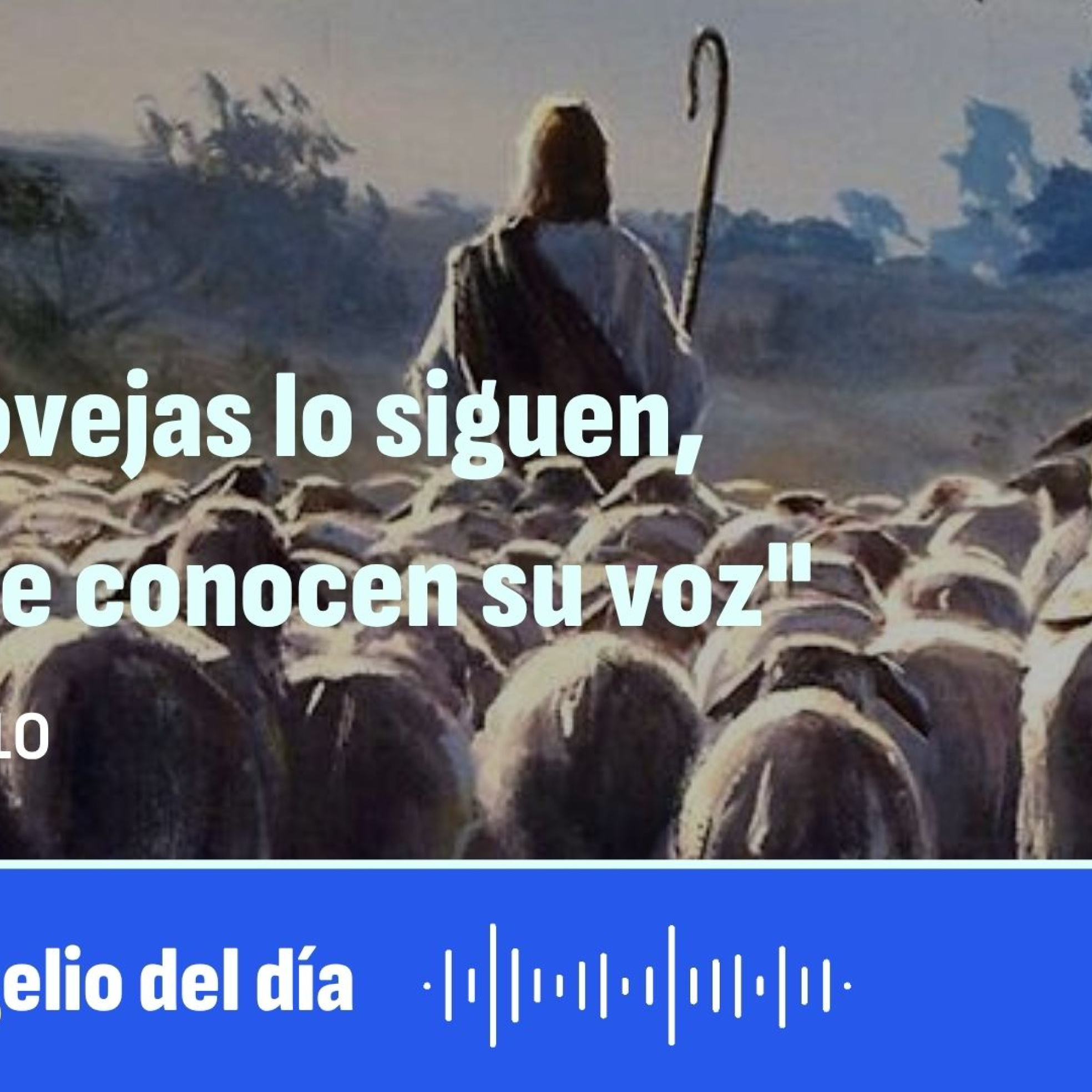 "Las ovejas lo siguen, porque conocen su voz" episode artwork