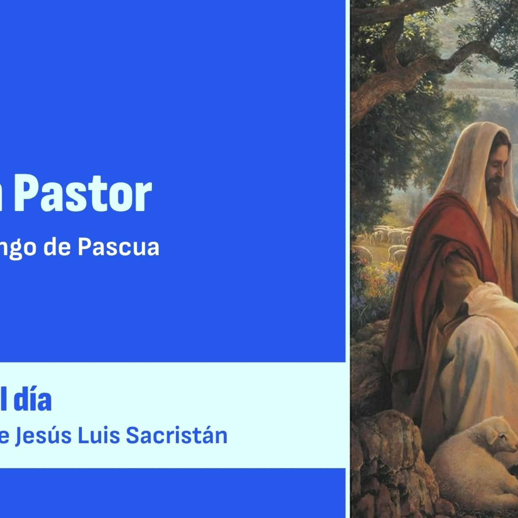Domingo del Buen Pastor episode artwork