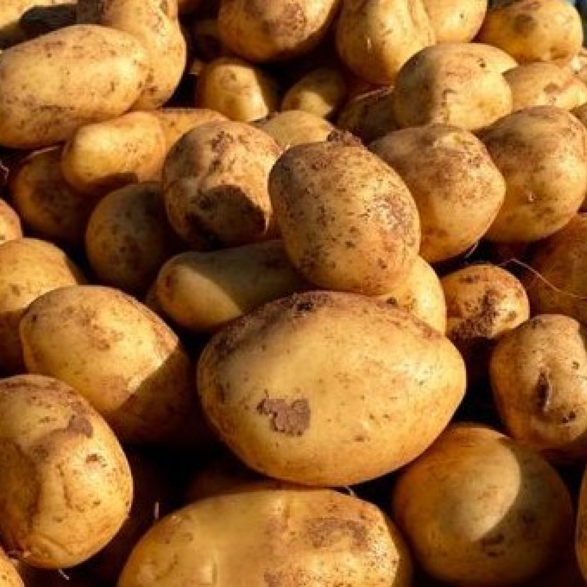 Tomás, cocinero afincado en España: "Sé cómo tengo que elegir las patatas adecuadas para guisar o freír; soy un auténtico mago de este alimento"