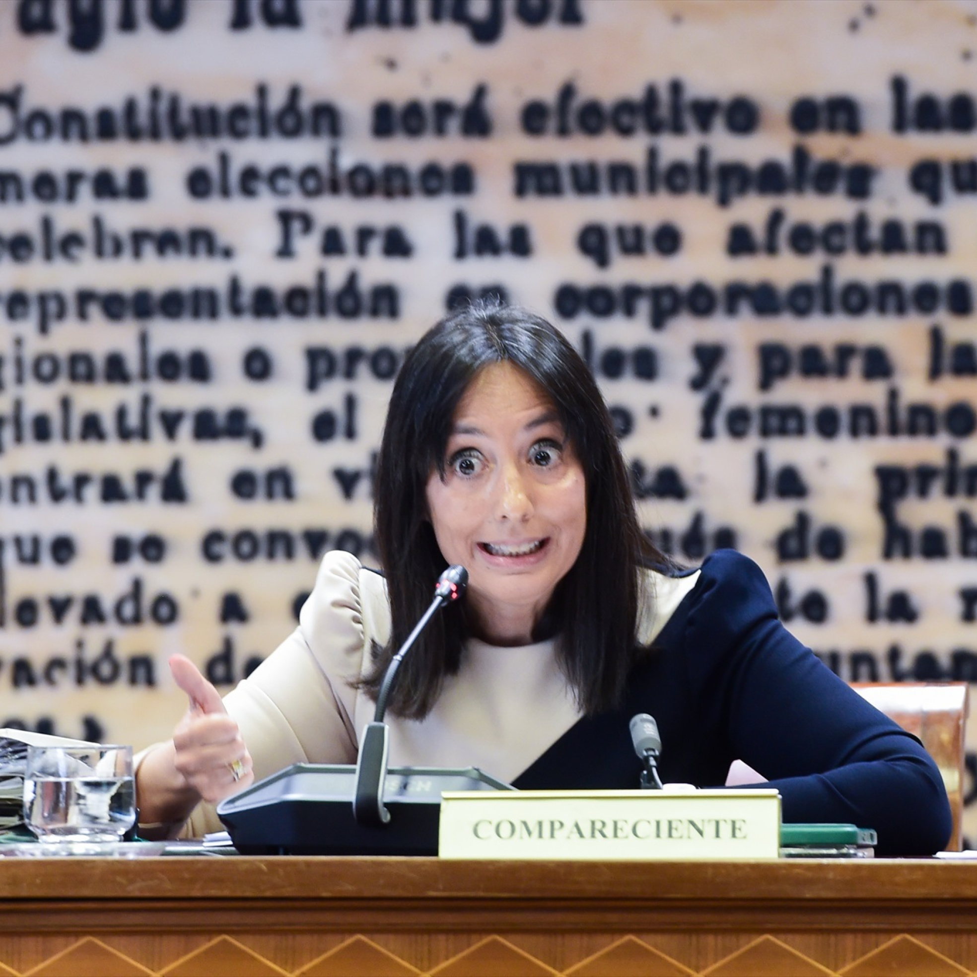 Olaya Salardón (AUGC): "Hay preocupación por parte de los agentes; la imagen de la institución puede verse dañada por actuaciones que están afectando a la cúpula. Día a día nos levantamos con una investigación nueva" episode artwork