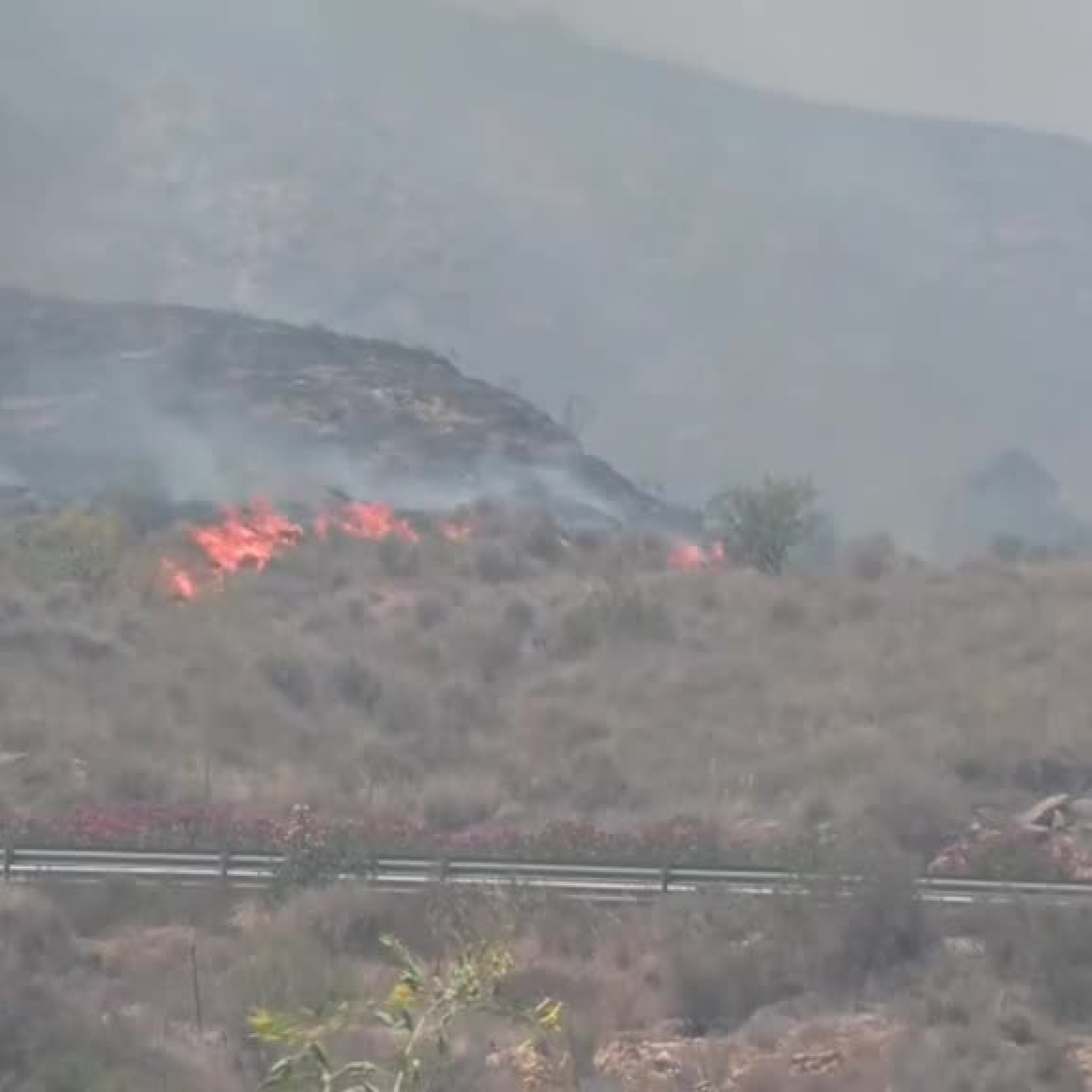 Luis Cervera, vecino de Bédar que sobrevivió al incendio de Los Gallardos: "Comprendí que era un riesgo altísimo y me dije: 'Yo me quedo aquí en mitad del pueblo, que las casas son de piedra o adobe'" episode artwork