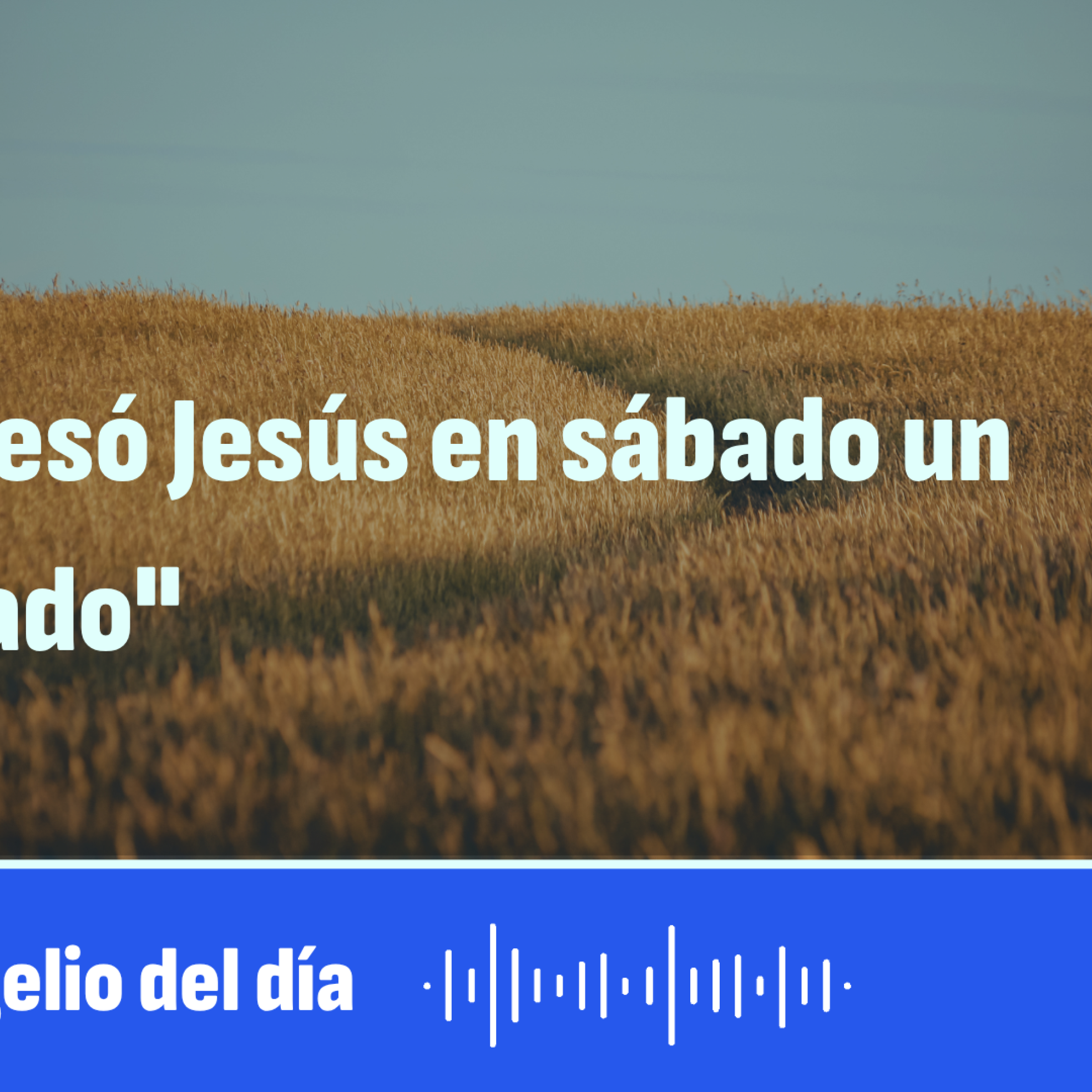 "Atravesó Jesús en sábado un sembrado" episode artwork