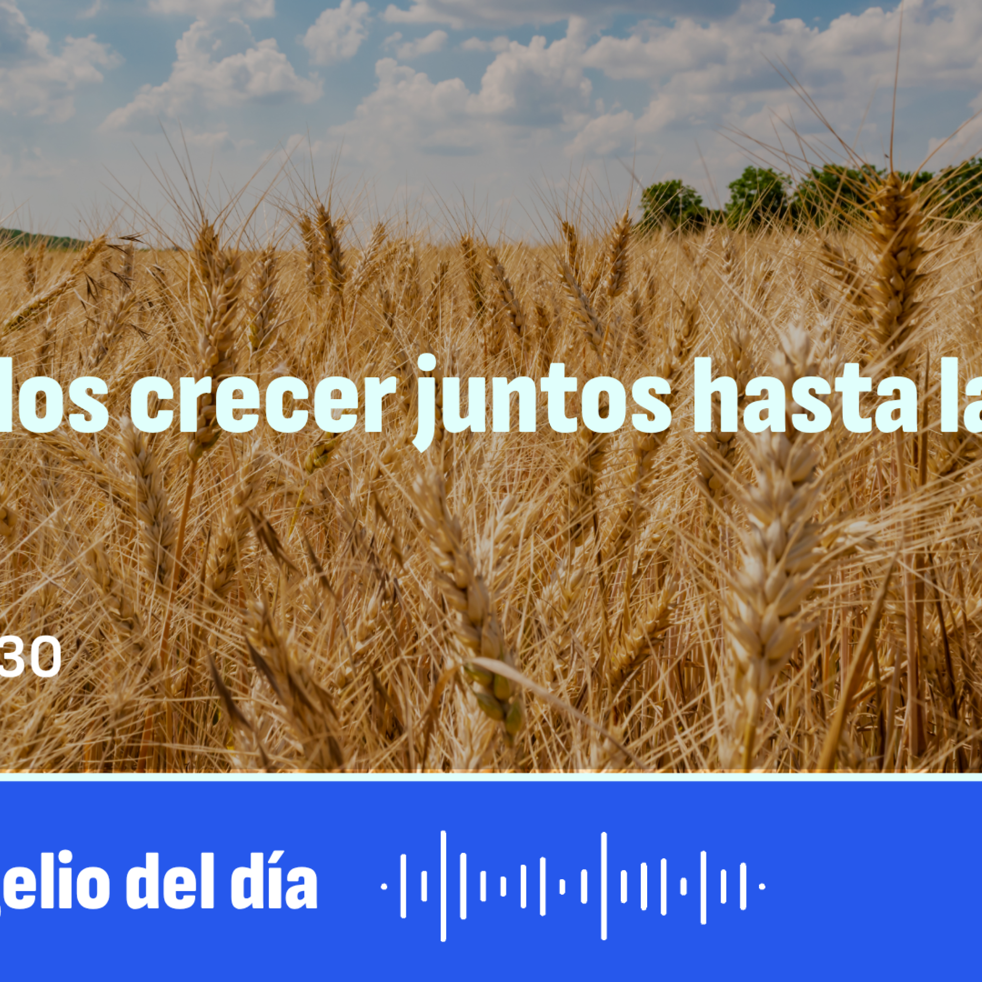 "Dejadlos crecer juntos hasta la siega" episode artwork