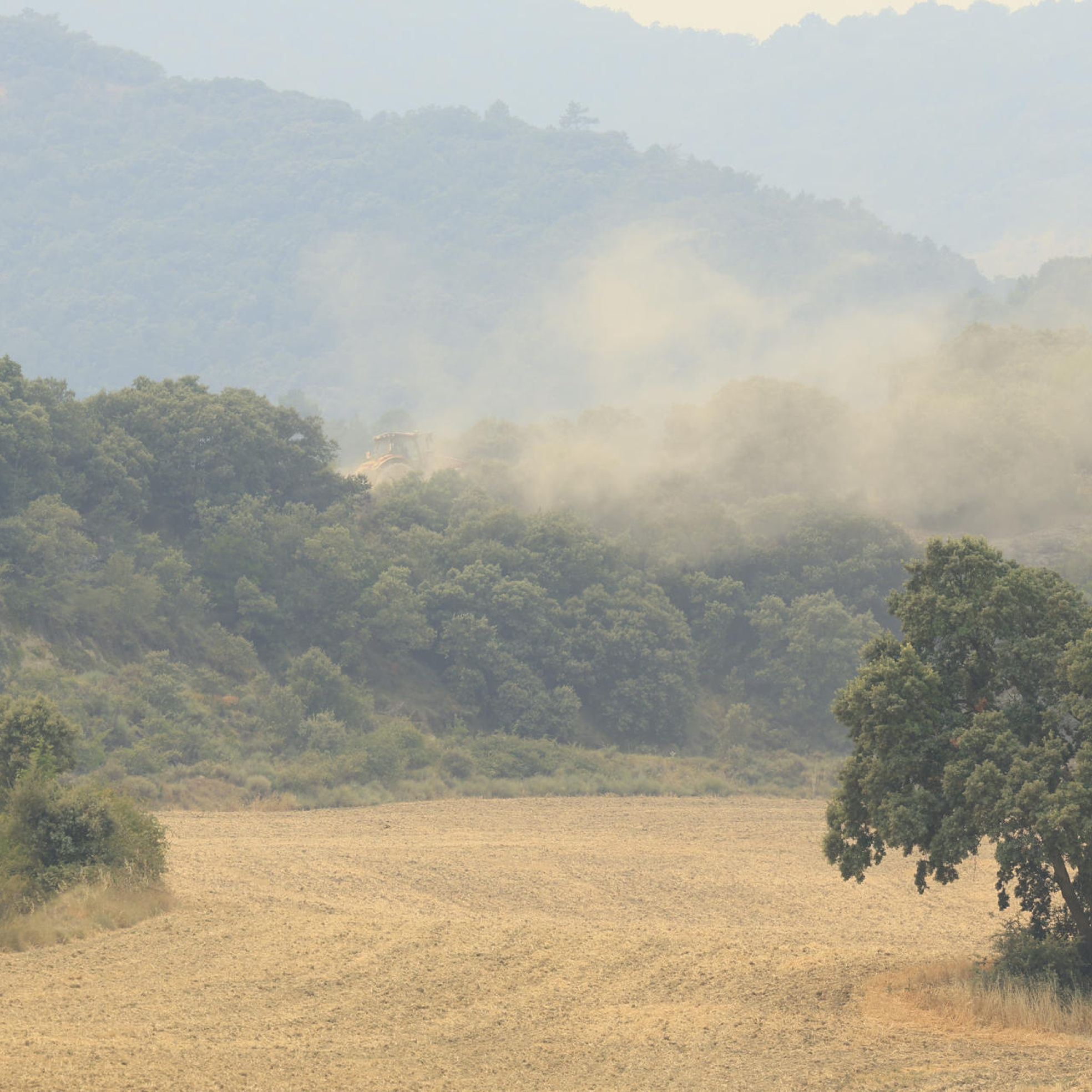El incendio forestal de las Cinco Villas sigue fuera de control: "Por muchos medios que tengas no puedes hacer nada, hay que dejar quemar y buscar una ventana de oportunidad" episode artwork