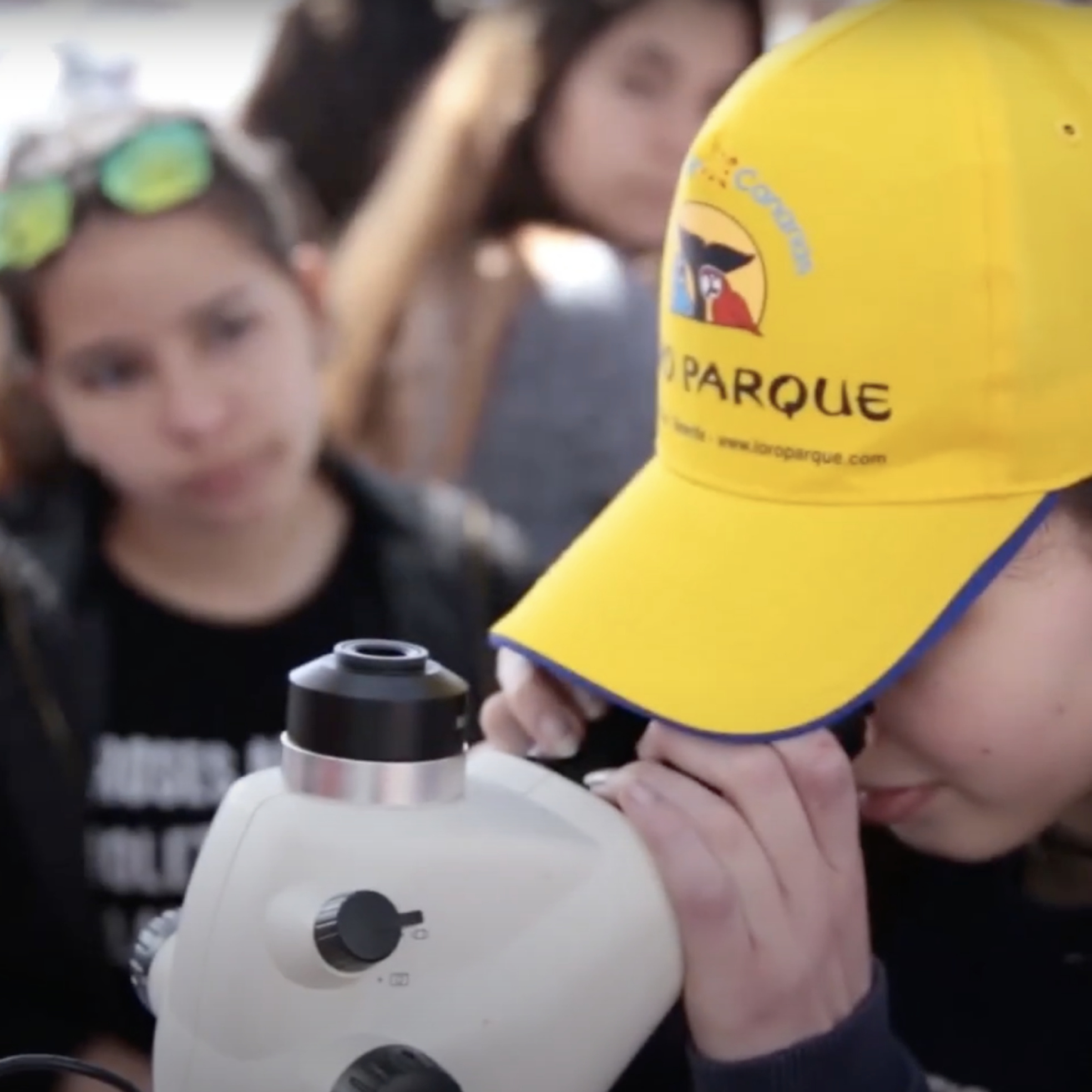 La labor educativa del Grupo Loro Parque y Loro Parque Fundación llega a más de 42.000 escolares durante el pasado curso episode artwork