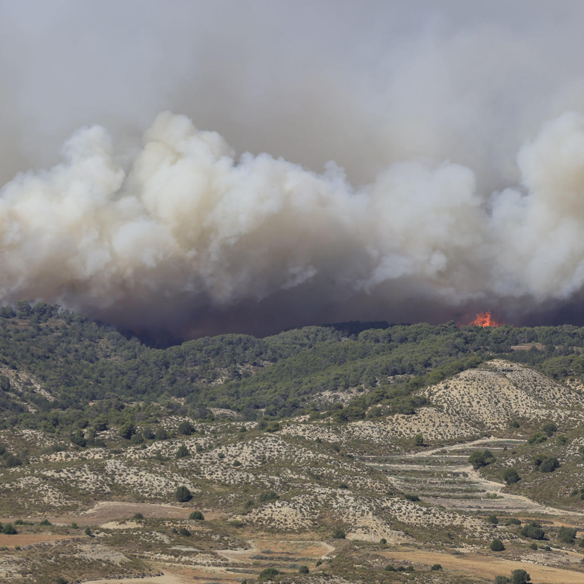 Ana Oliván, directora general de incendios forestales de Aragón: "Ahora mismo está en un estado que, en cuanto comienza un fuego, pues realmente no hay una oposición, enseguida empieza a correr" episode artwork