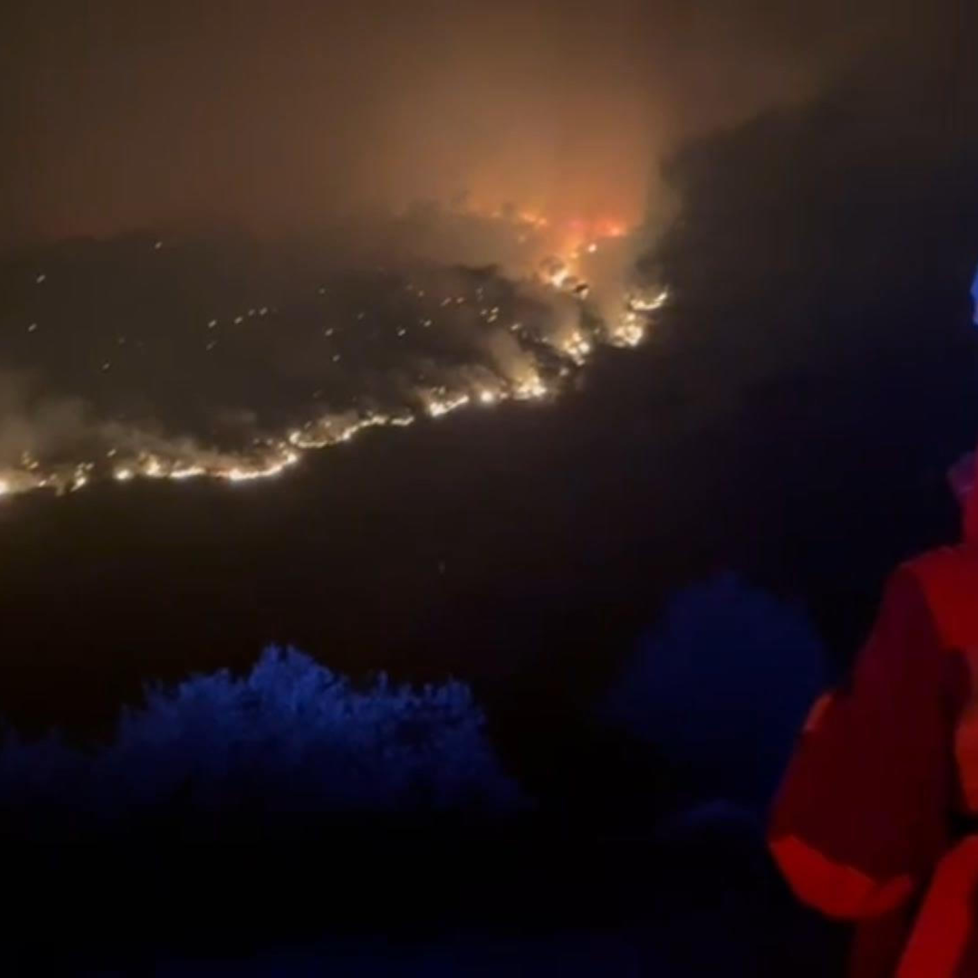Paco Castañares, experto forestal, sentencia sobre la plaga de incendios: “No se ha hecho absolutamente nada” episode artwork