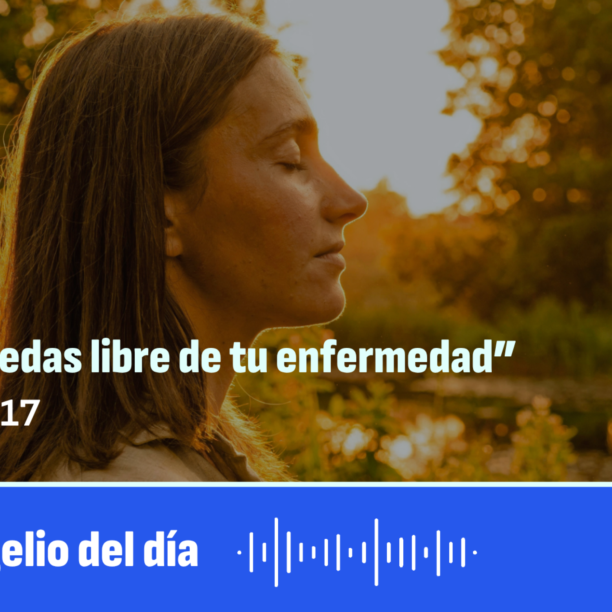 Portada de RSS - Audios de Ecclesia