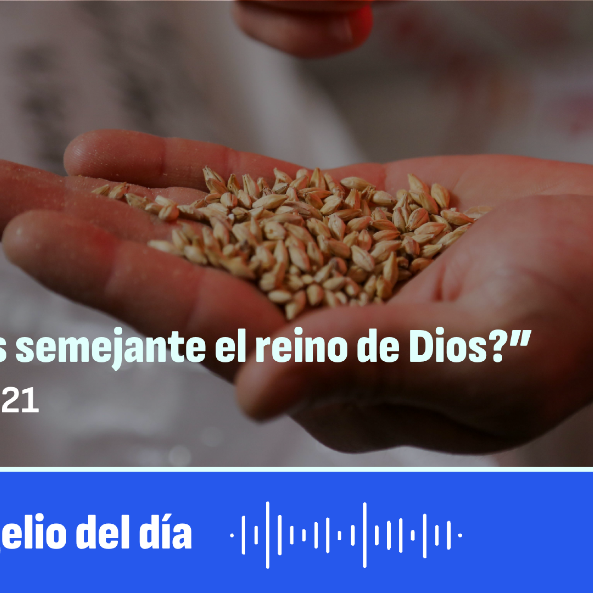 Portada de RSS - Audios de Ecclesia
