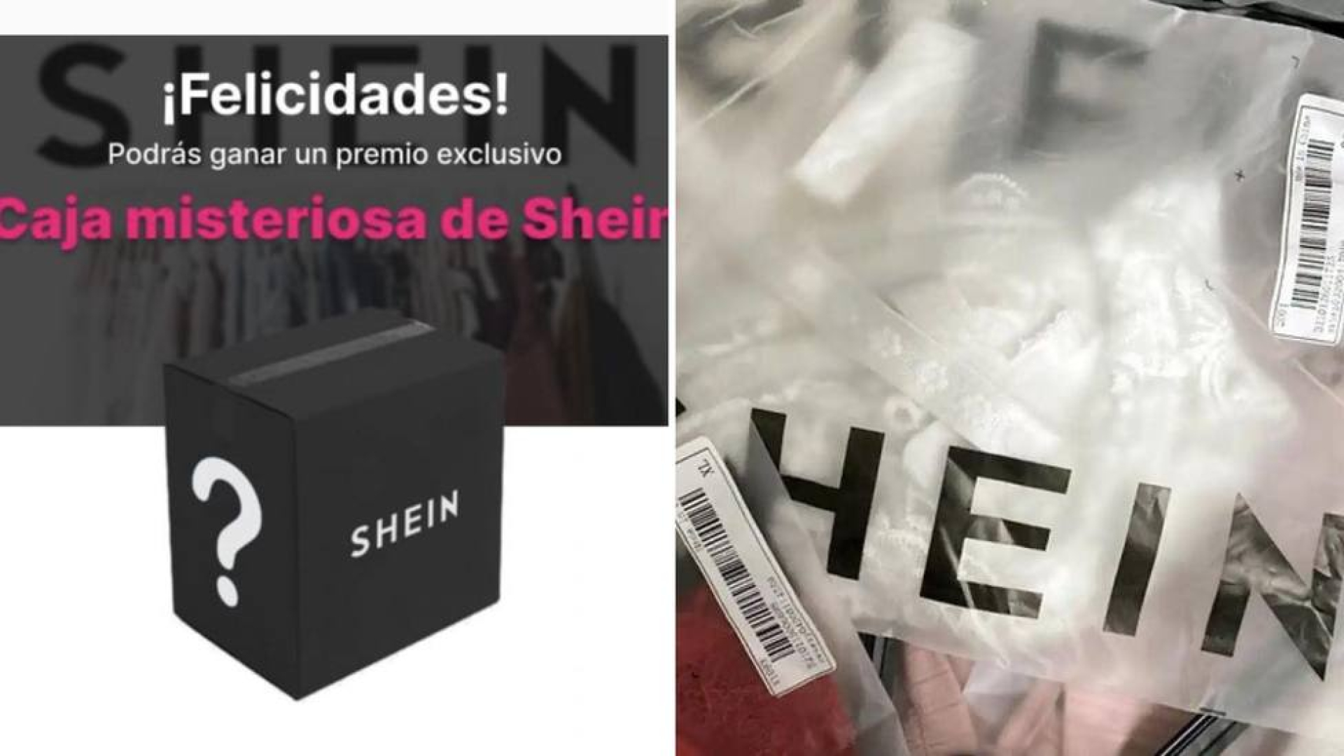 Recibiste un mensaje de Shein Un experto alerta de la ultima estafa que llega al correo Miles de personas