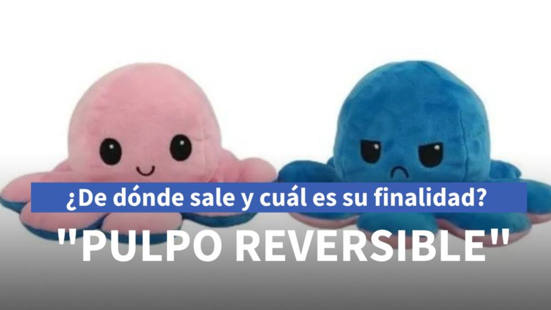 Los pulpos reversibles son fashion para niños con autismo