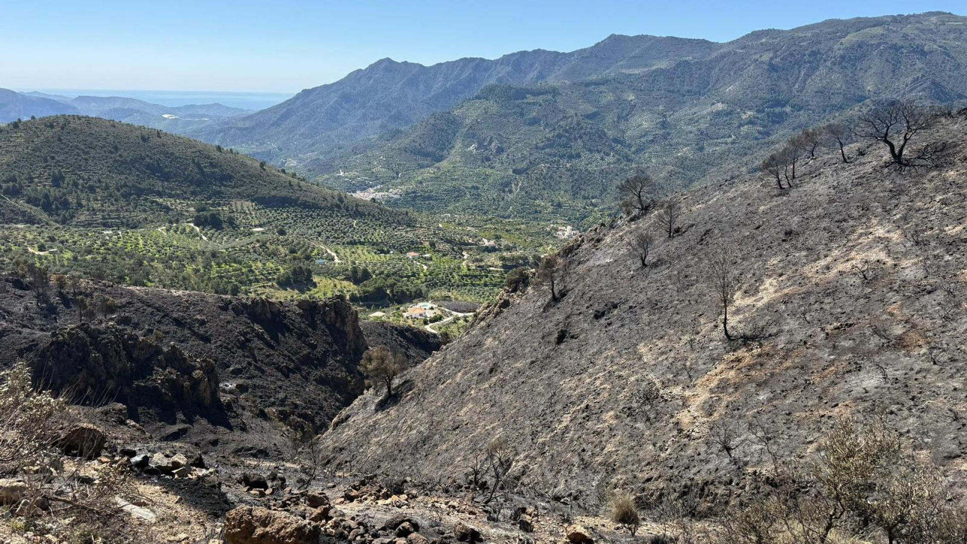 Controlan el incendio forestal de Los Guájares tras una intensa lucha contra el viento