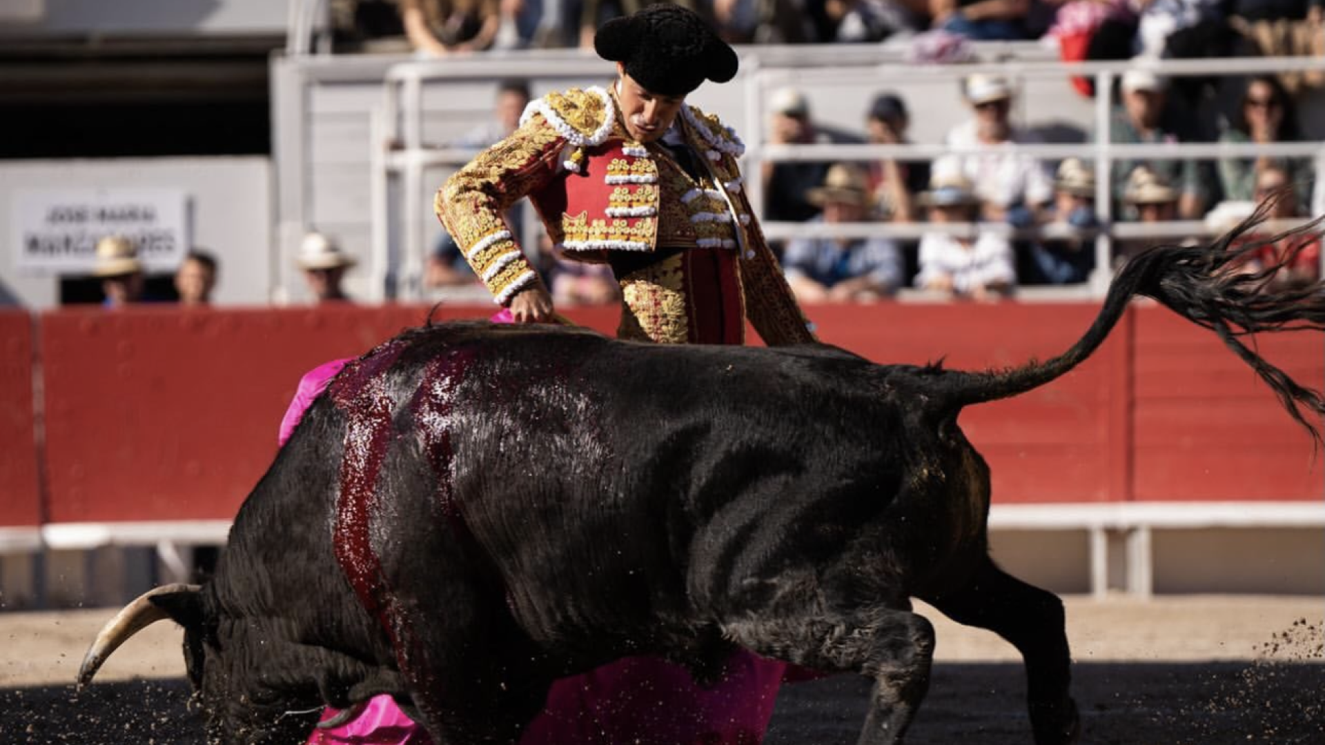 Alejandro Talavante deslumbra en Arles y abre la Puerta Grande