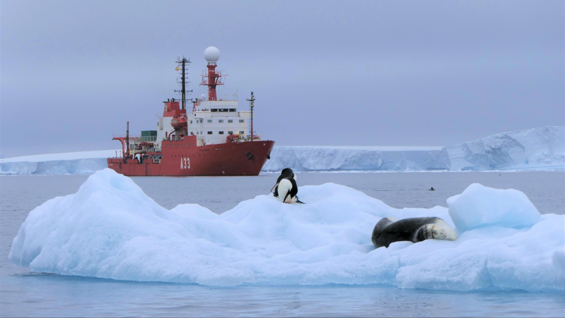 El 'Hespérides' pone rumbo a España tras culminar con éxito la Campaña Antártica
