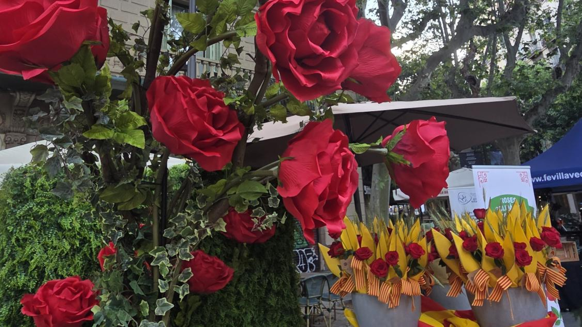 Los floristas catalanes estallan en Sant Jordi: 