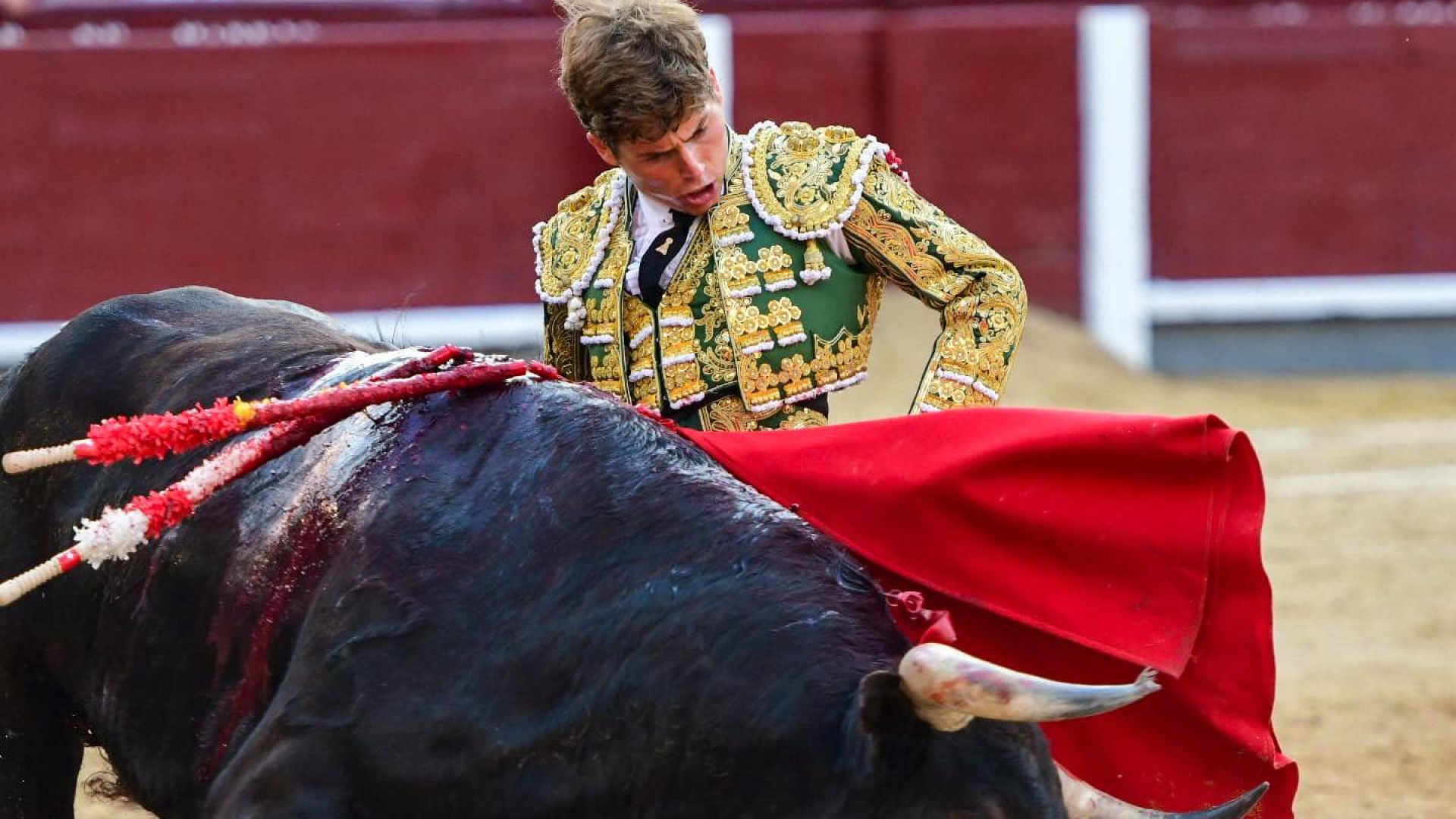 Álvaro Serrano, buenas sensaciones sin espada en Las Ventas