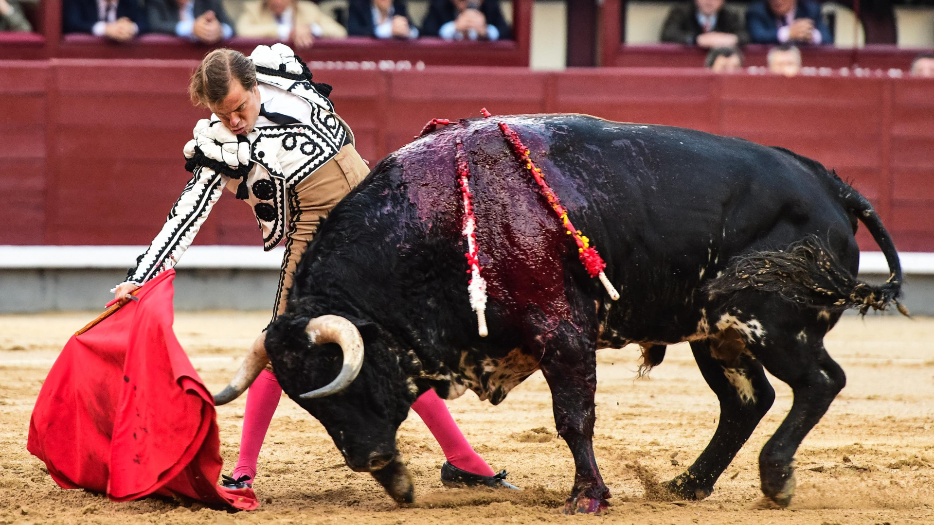 Cortés roza el triunfo en Las Ventas… y lo entierra con la espada