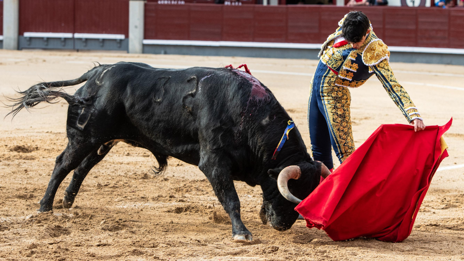 Mejores novillos que novilleros en el cierre de la Feria de la Comunidad en Las Ventas