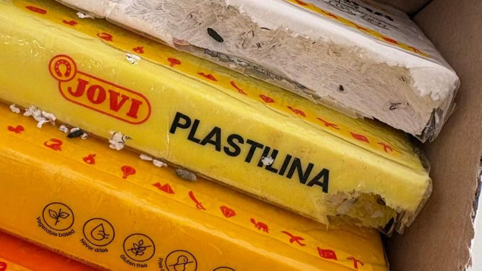 Un colegio de Castellón se ve obligado a detener su actividad por la presencia de ratas: 