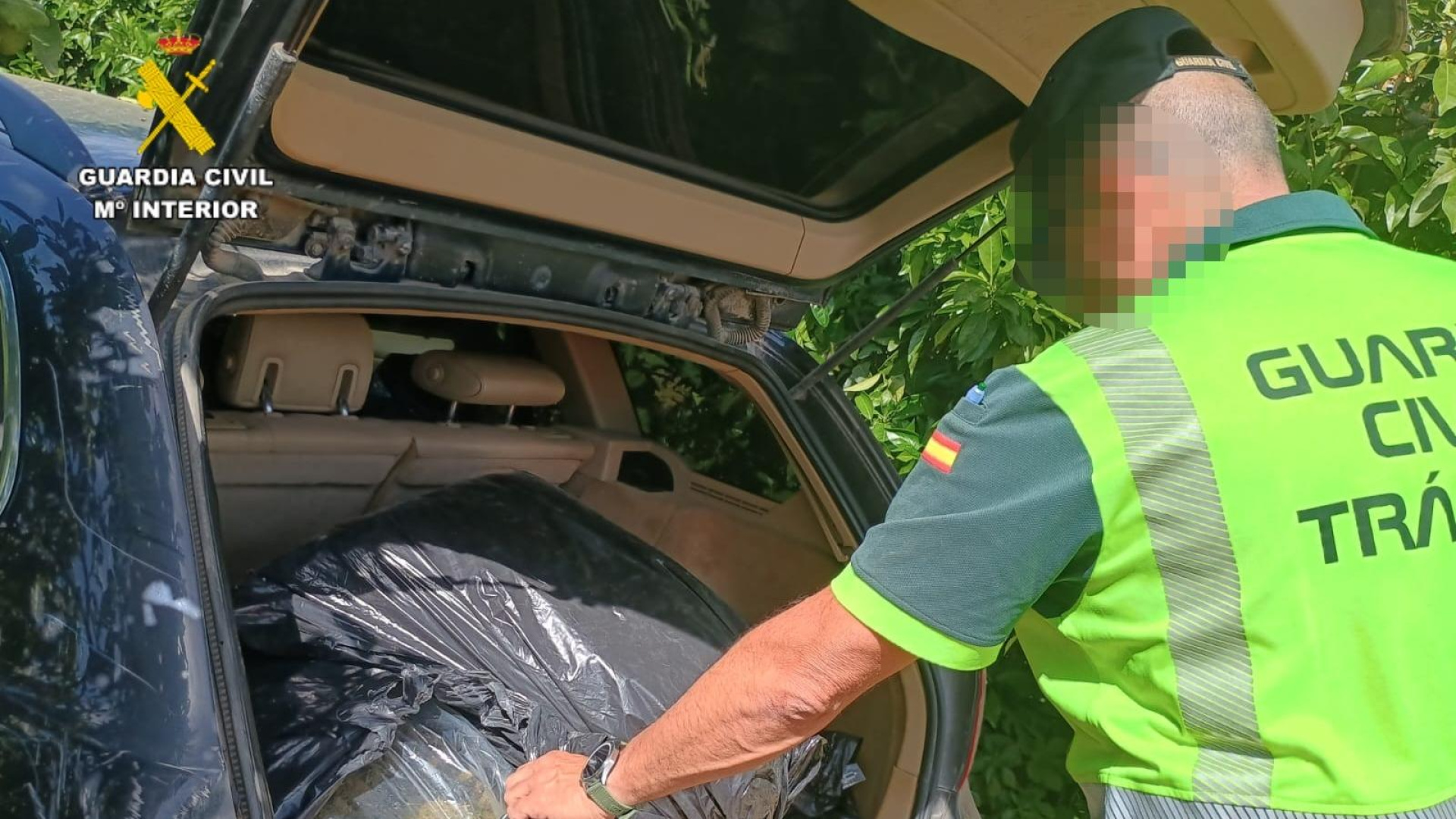 Cae un conductor en Sevilla con 38 kilos de marihuana tras una persecución de alto riesgo