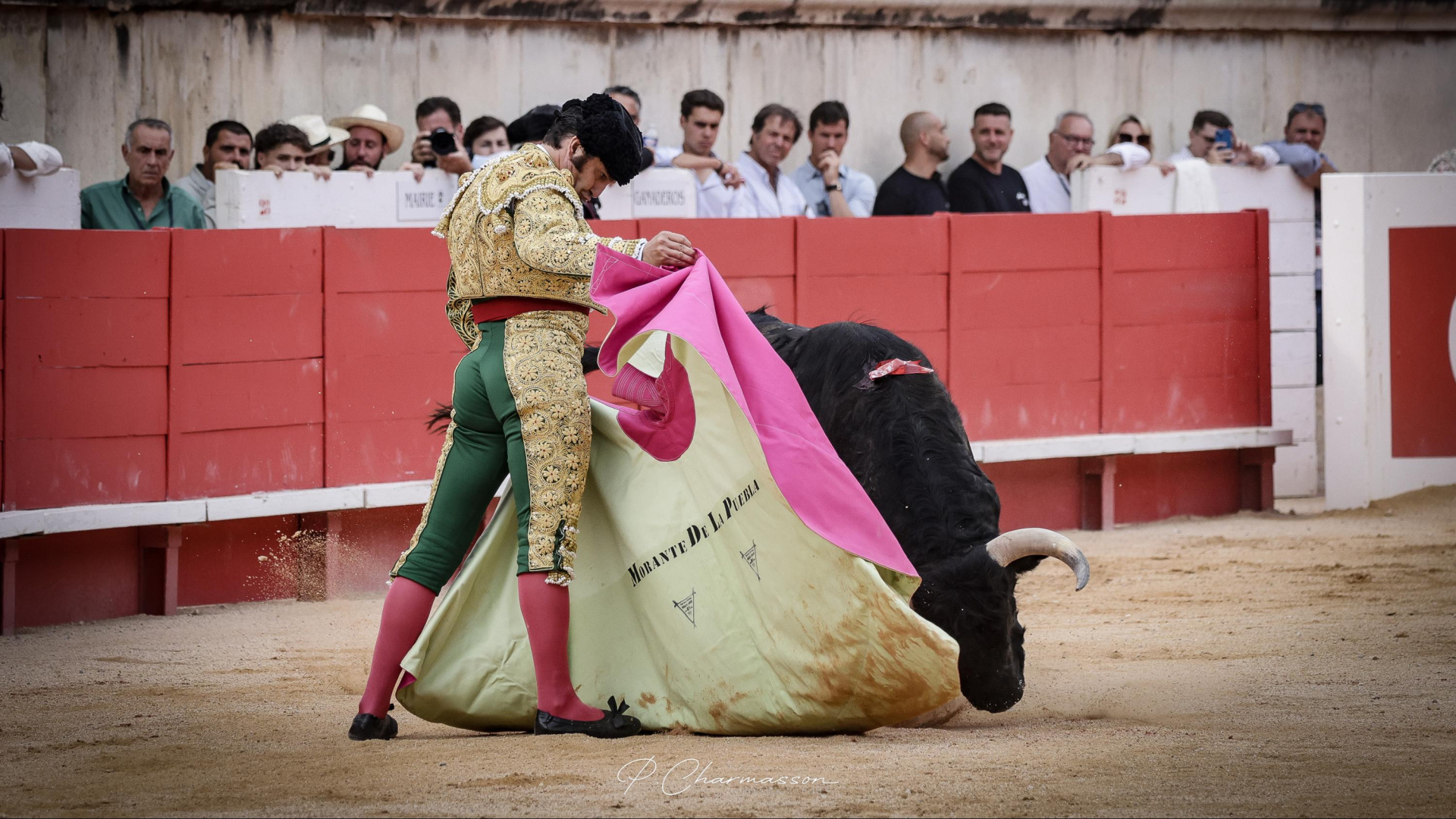 El Fandi, Morante y Roca Rey encabezan la Feria del Corpus de Granada