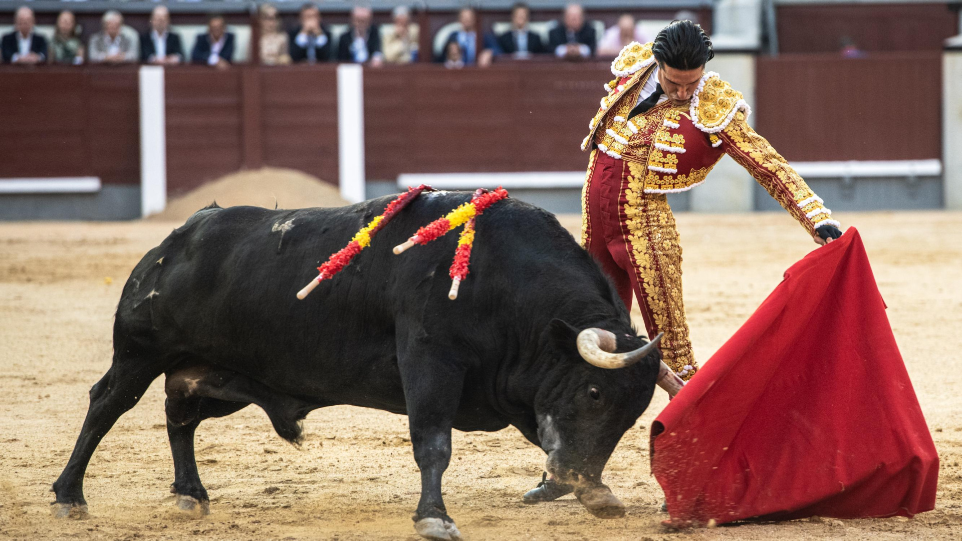 Talavante y una oreja de viernes entre sobreros y toneladas de descastamiento