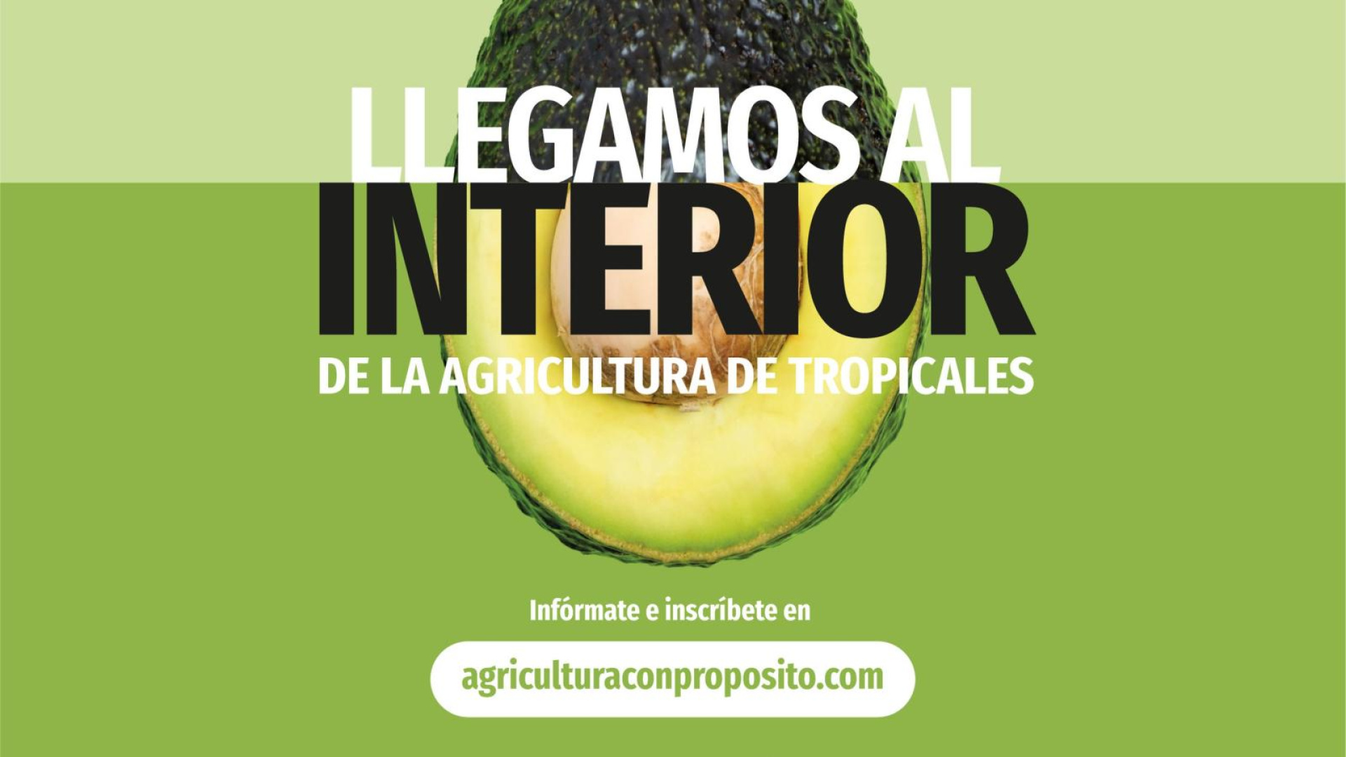 Granada se convierte en el epicentro de la innovación para el cultivo tropical