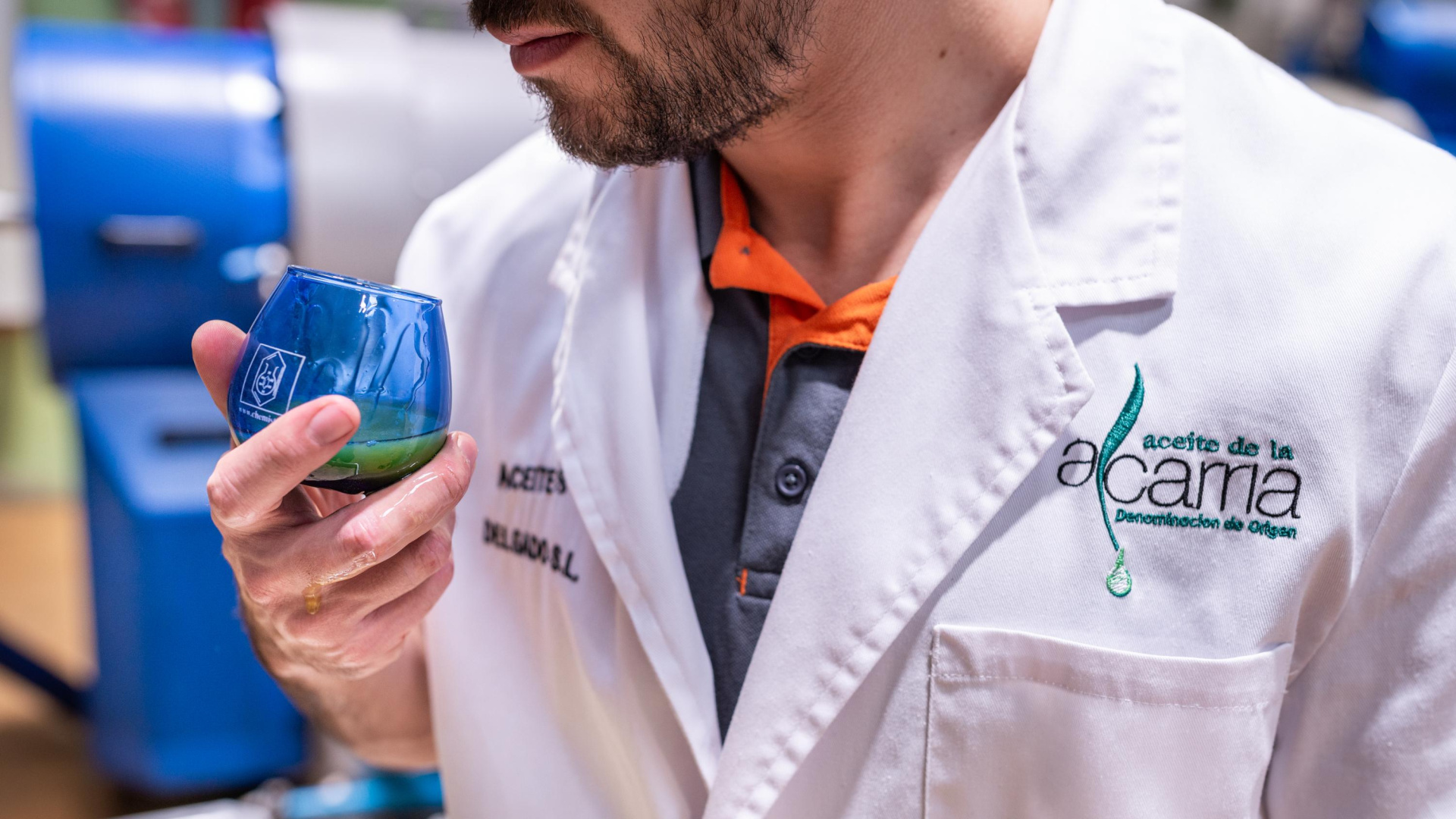 Oleoturismo en Guadalajara: visita y cata en la almazara donde se elabora uno de los 100 mejores aceites del mundo