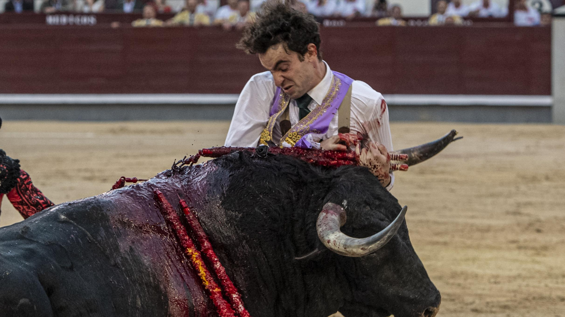 Conmovedor Víctor Hernández o cómo jugarse la vida en Las Ventas