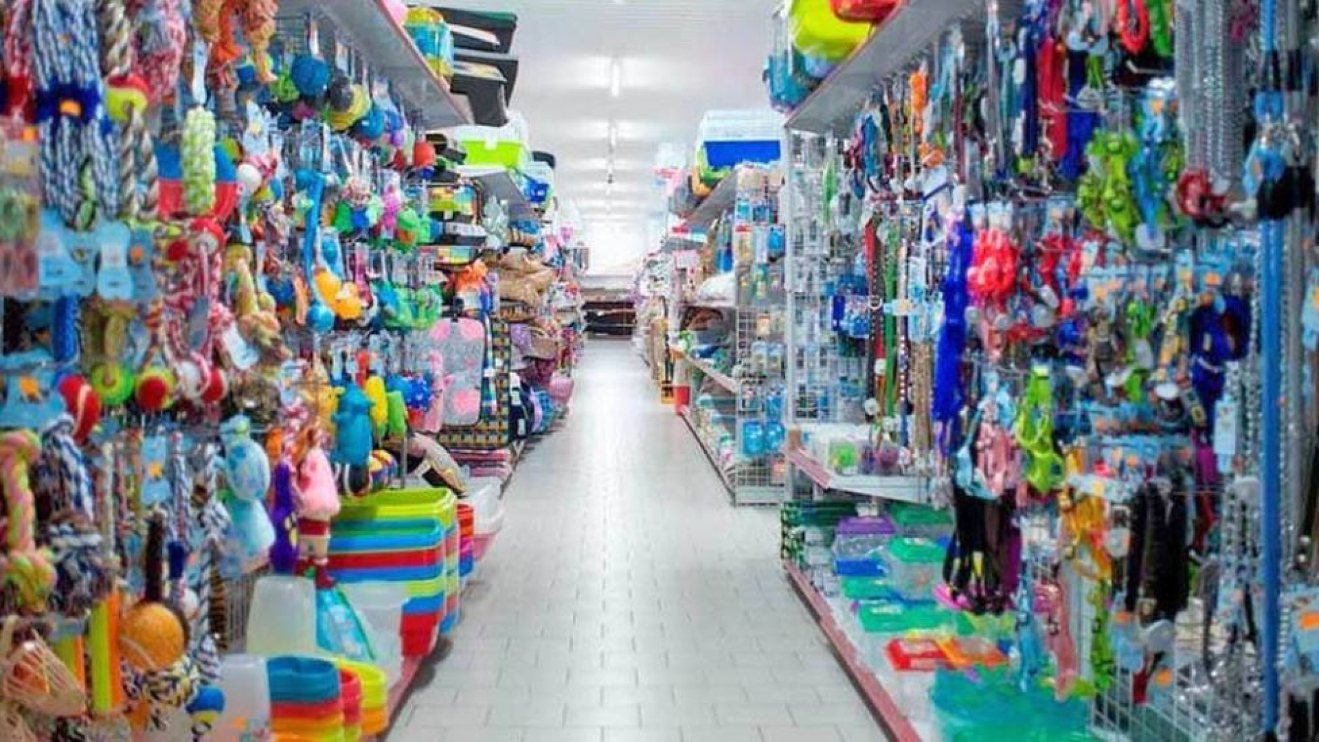 Tienda Chinos