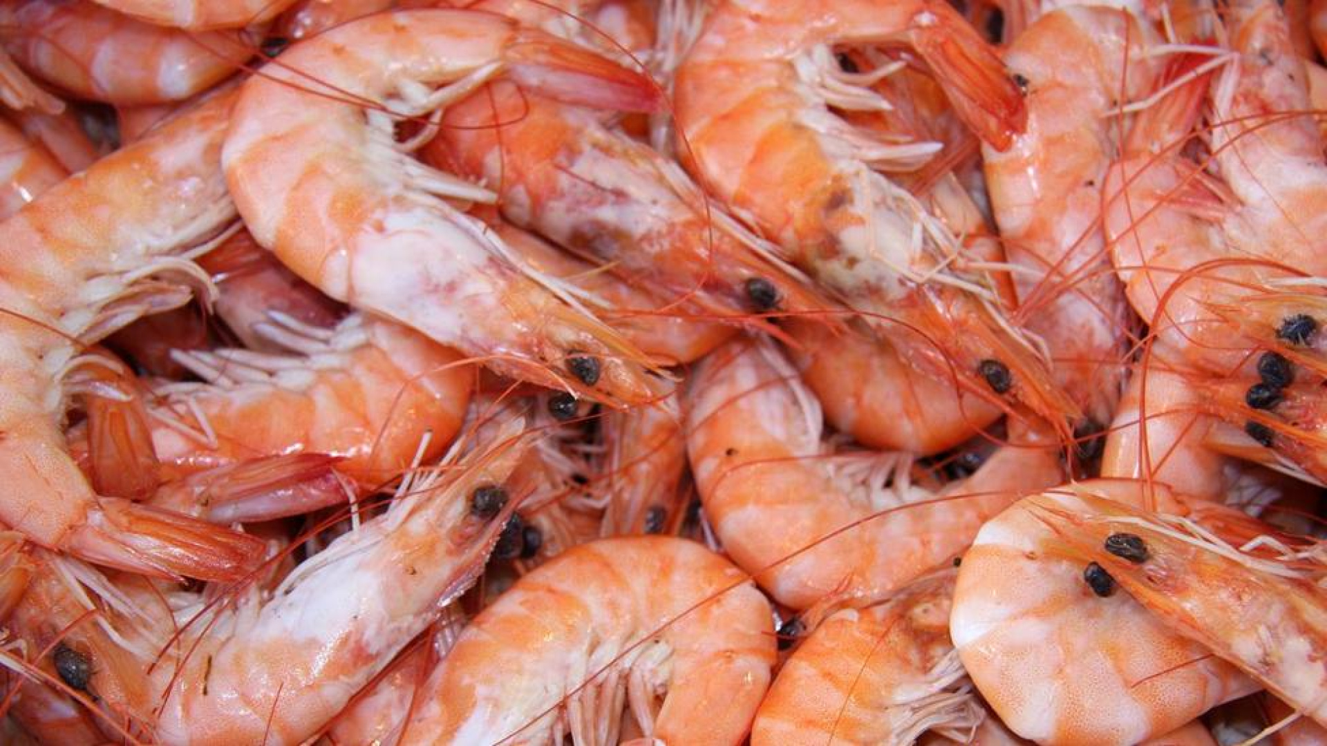 Jesús, experto en restos: 