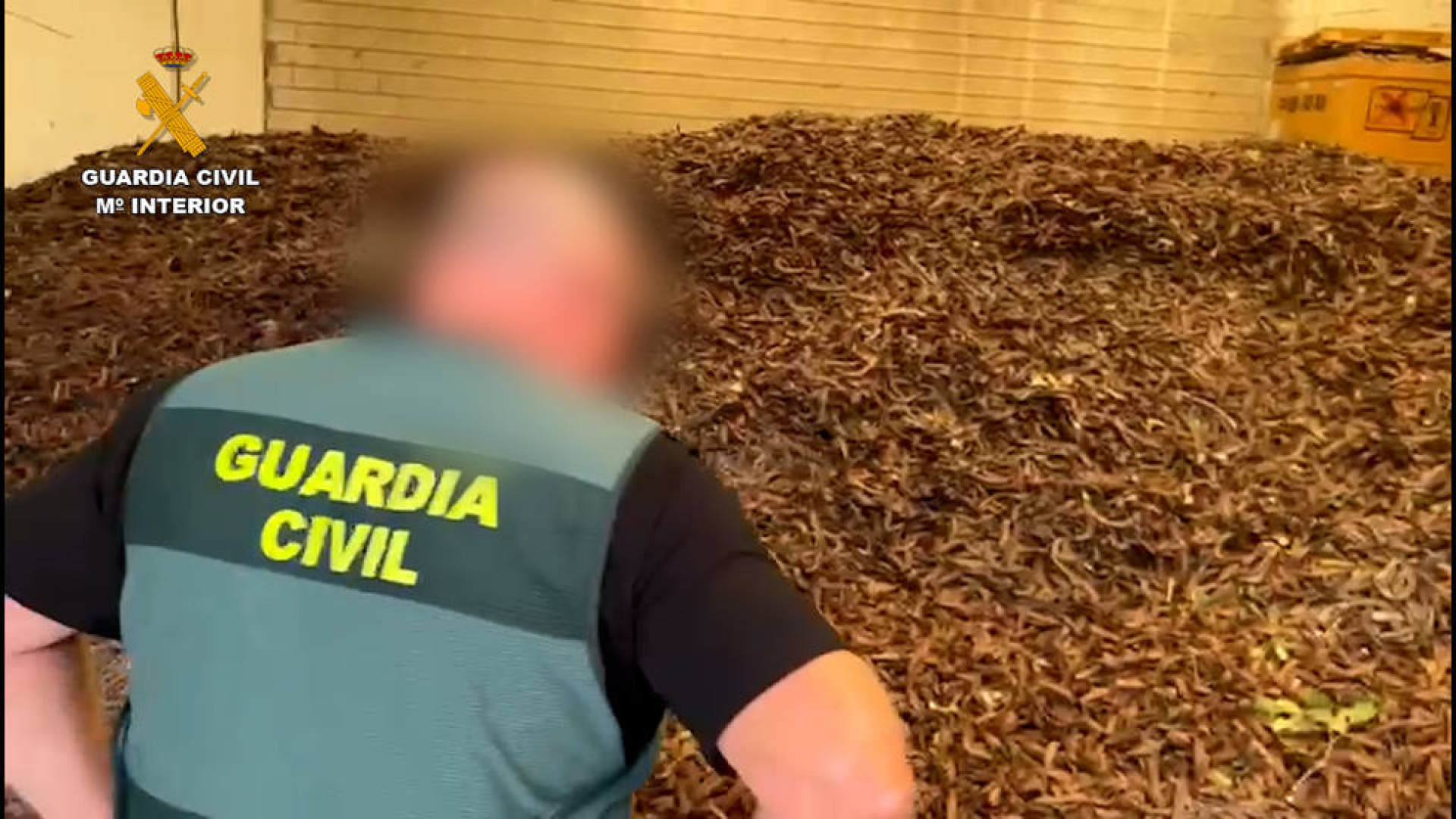 Robar en el campo se castiga con más dureza: 