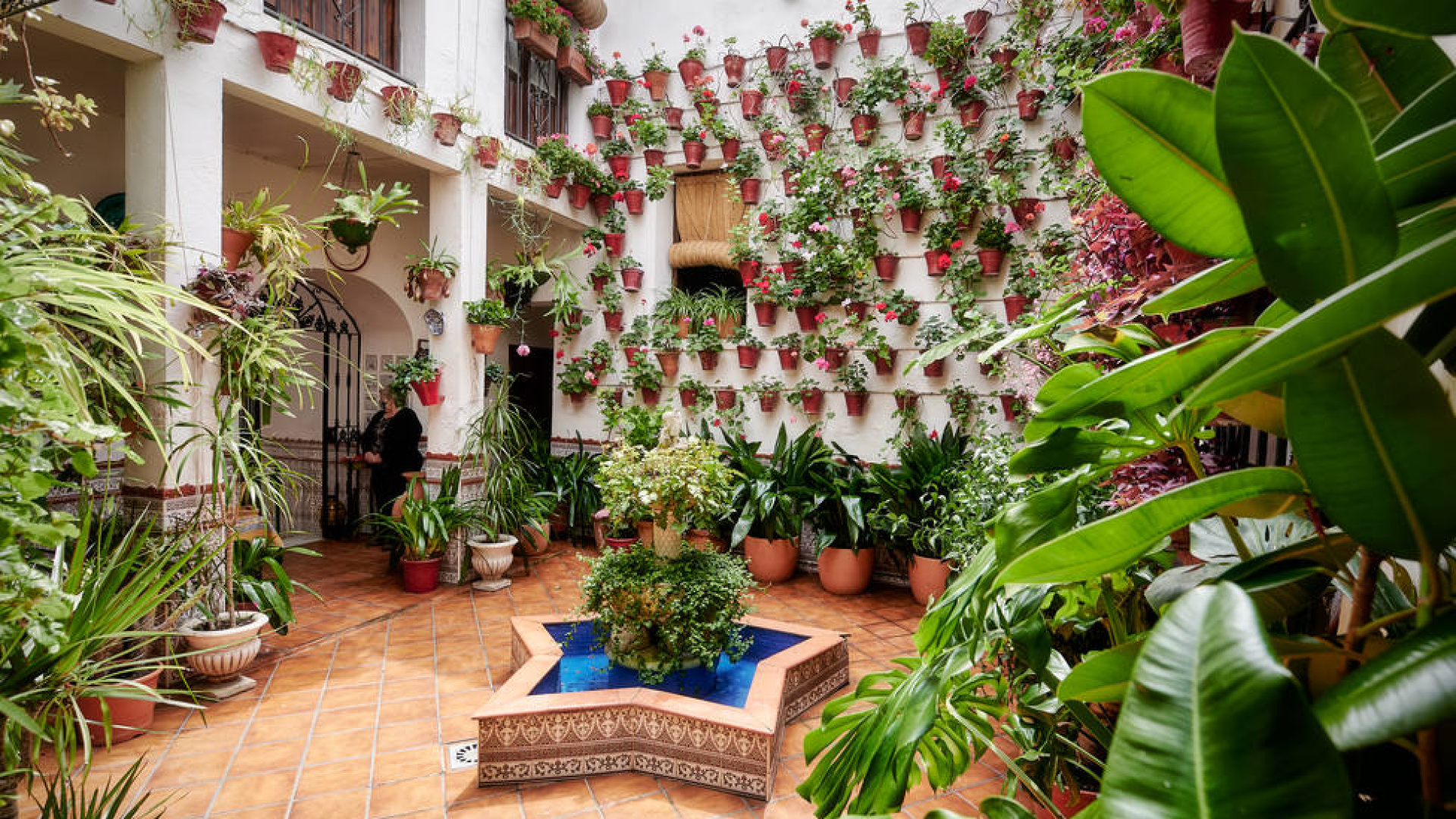Un paseo por la memoria viva de los patios: historia, flores y vida compartida