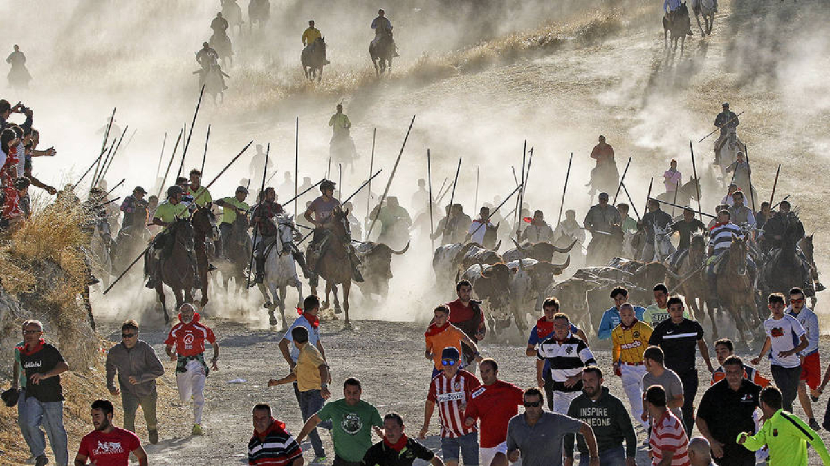 Los Encierros de Cuéllar, Premio Castilla y León de Tauromaquia 2018
