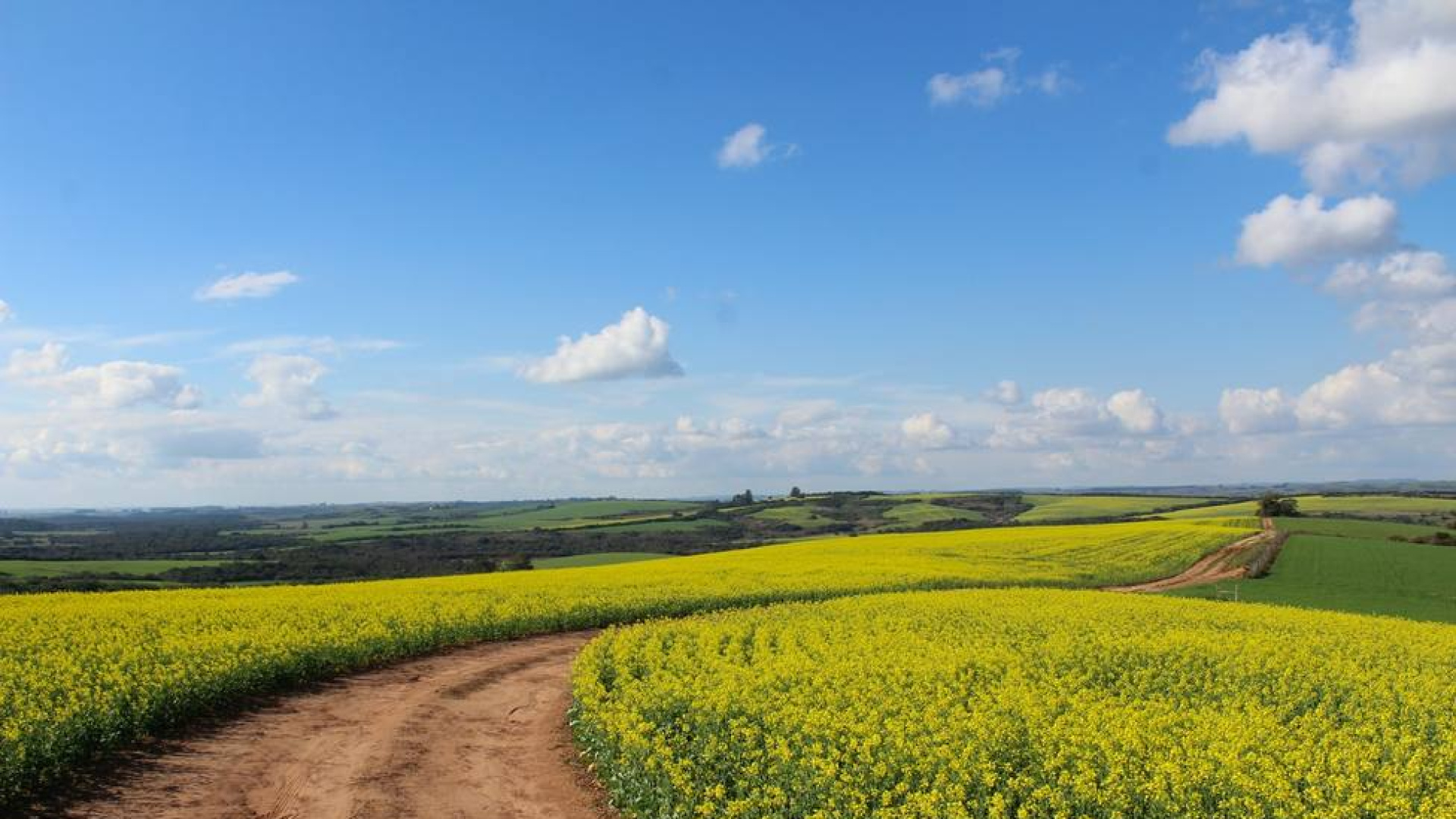 Óscar Bobadilla, agricultor: 