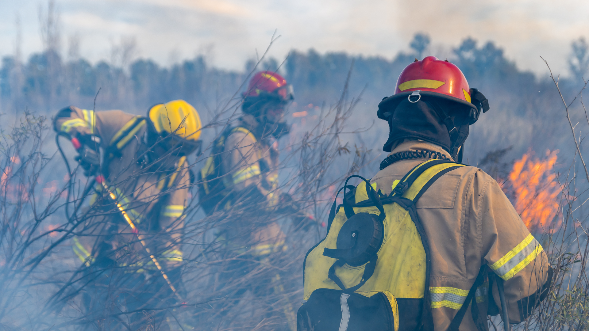 Un incendio en Monfero quema 1,6 hectáreas de monte arbolado dentro del Parque Natural das Fragas do Eume