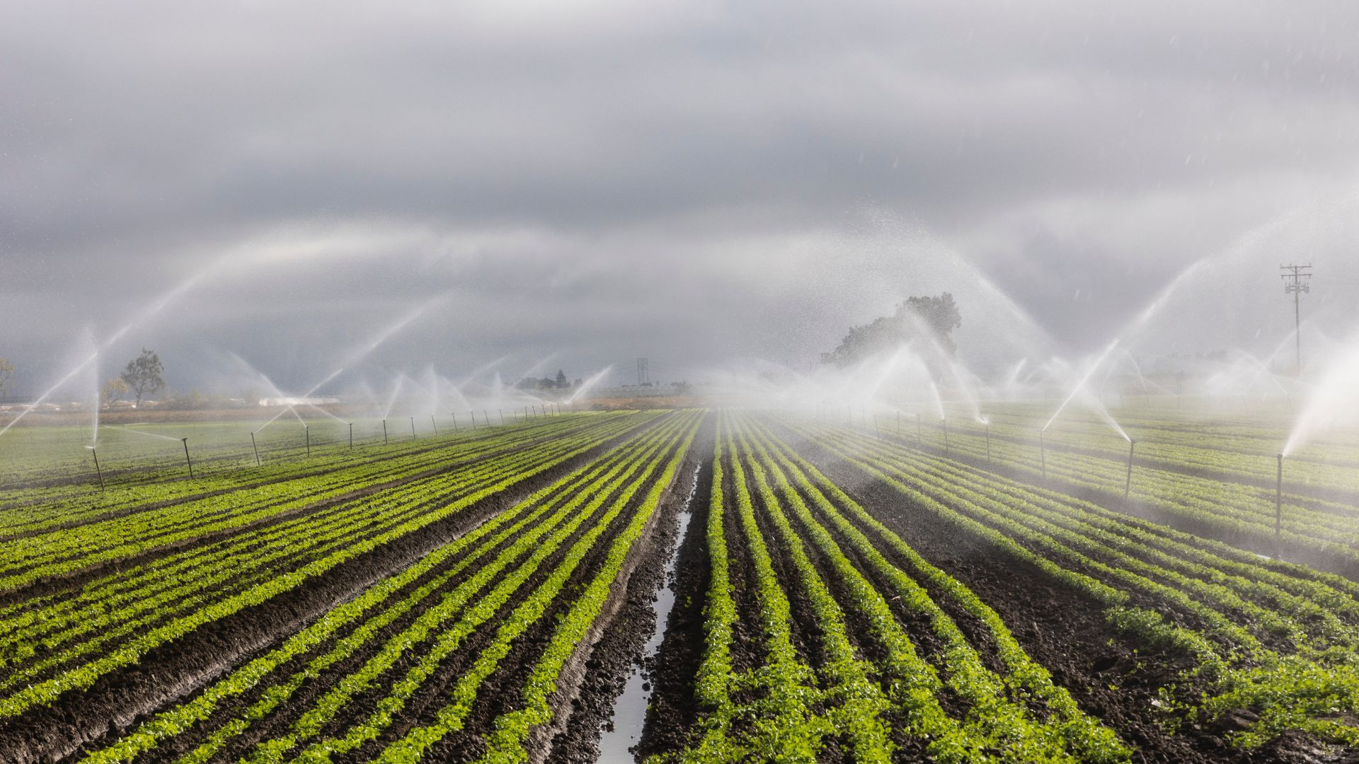 Extremadura recibe una inversión histórica para el regadío