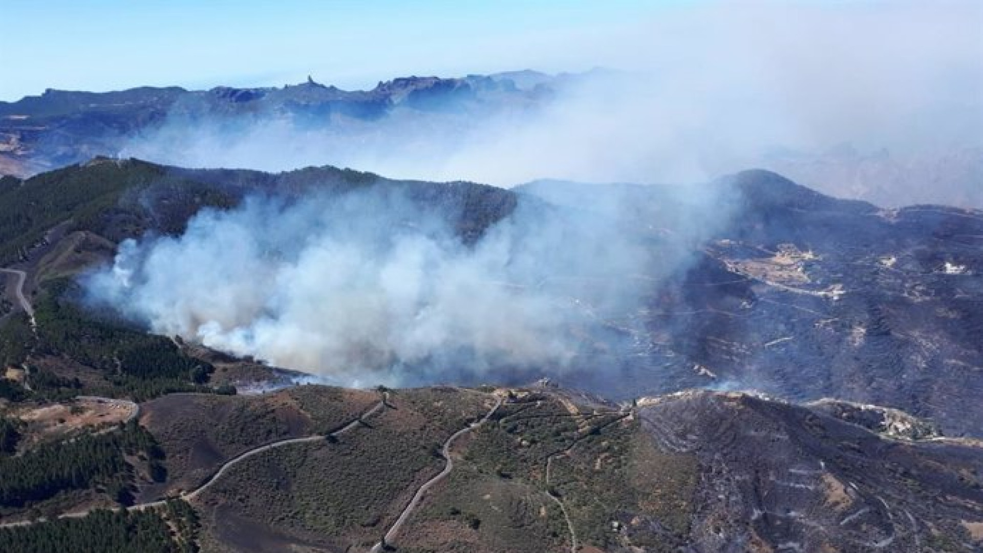 Gran Canaria adelanta la alerta por incendios: más vegetación y fuegos más rápidos este verano