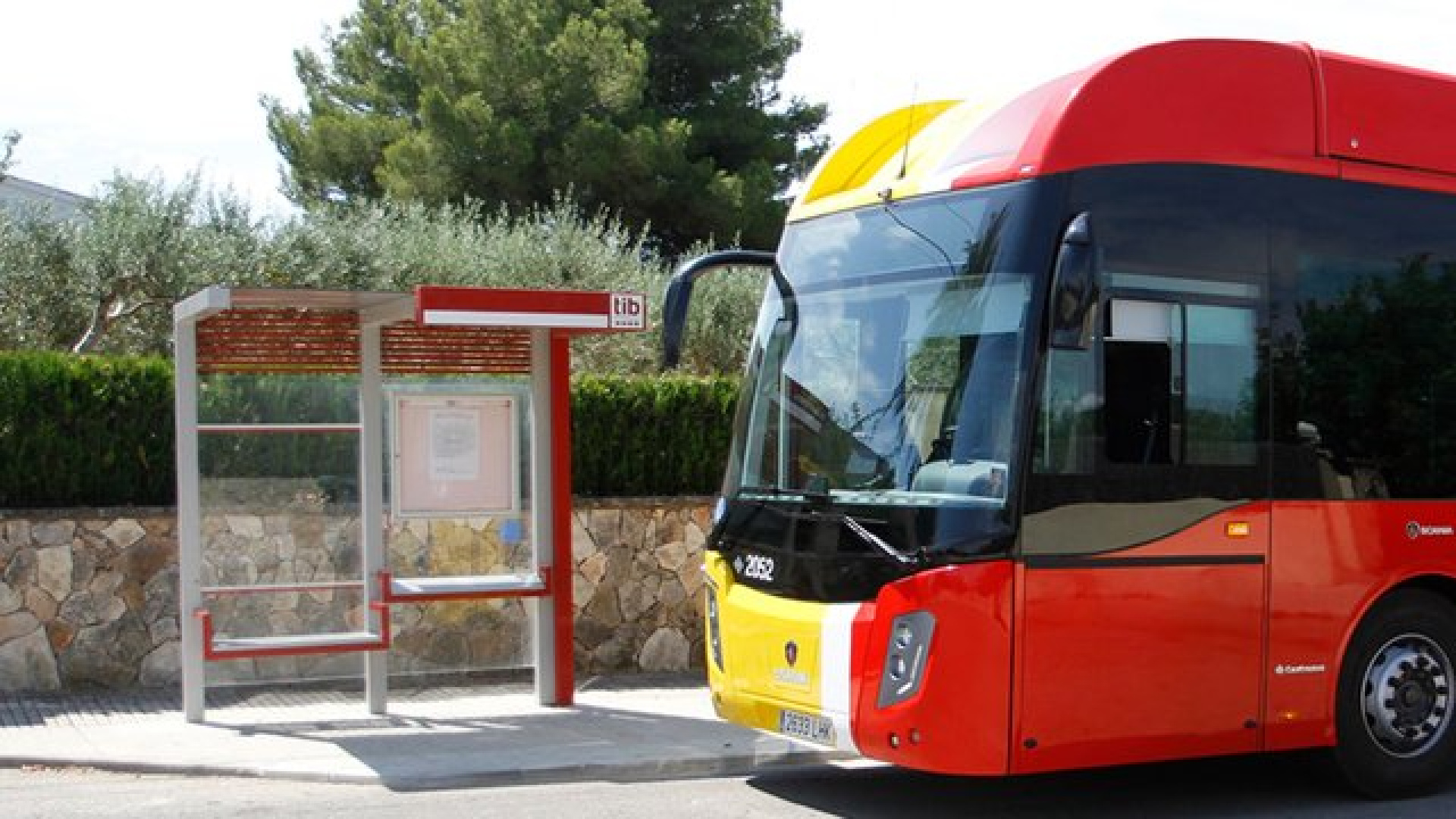 El TIB cambia sus normas: así podrás viajar con tu mascota en los autobuses de Mallorca