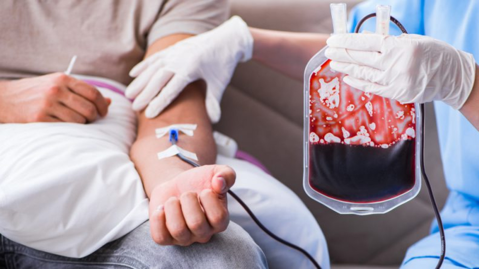 Extrencadura Blood Bankプログラム63 2月の寄付の引用