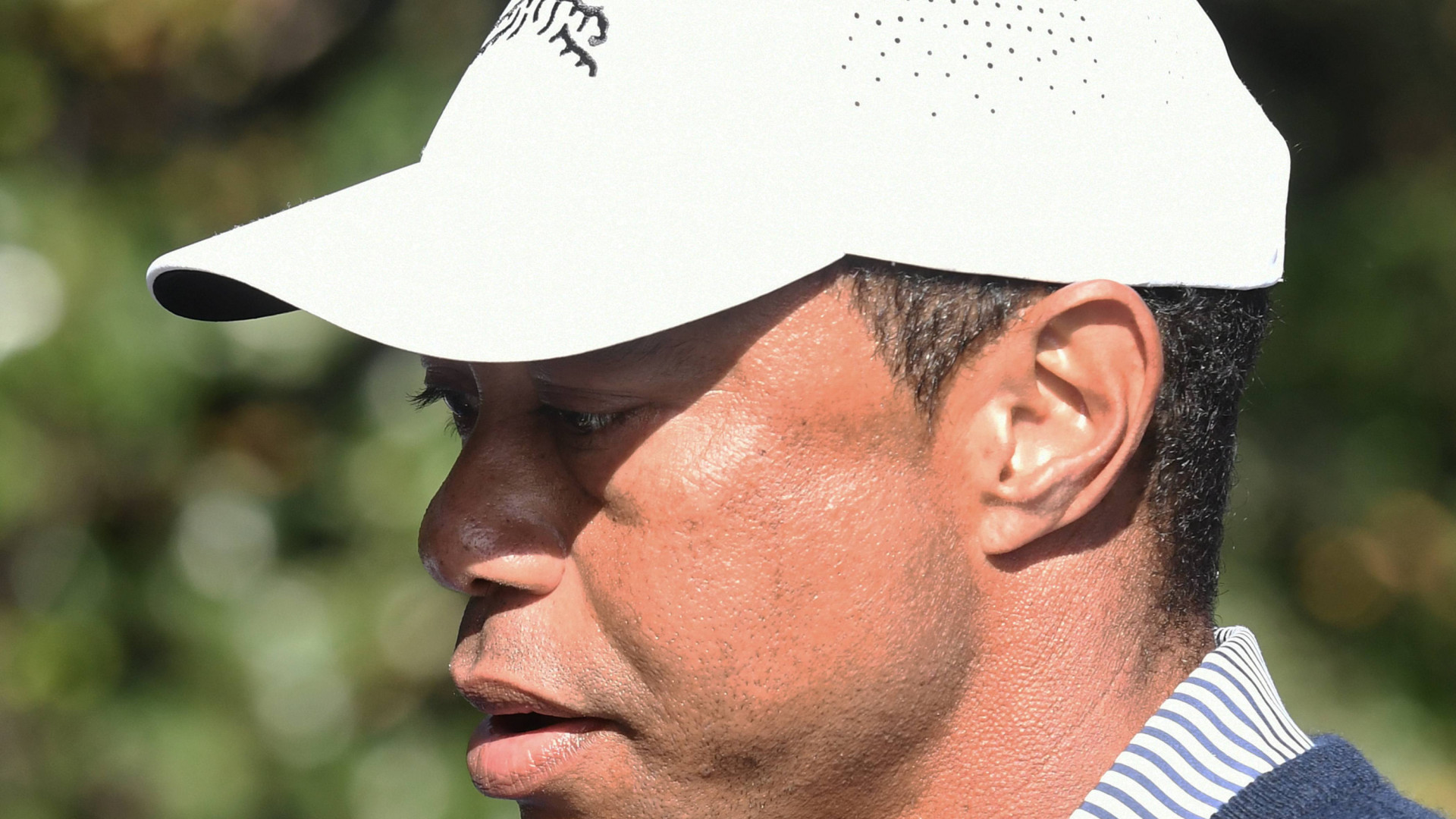 Comunicado de Tiger Woods, que reconoce tener un grave problema: 