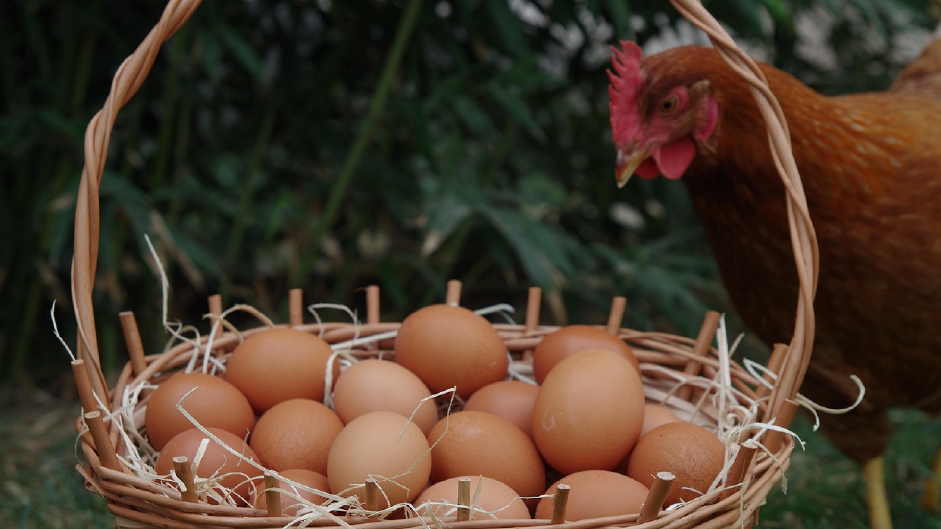Los huevos se disparan en Alicante