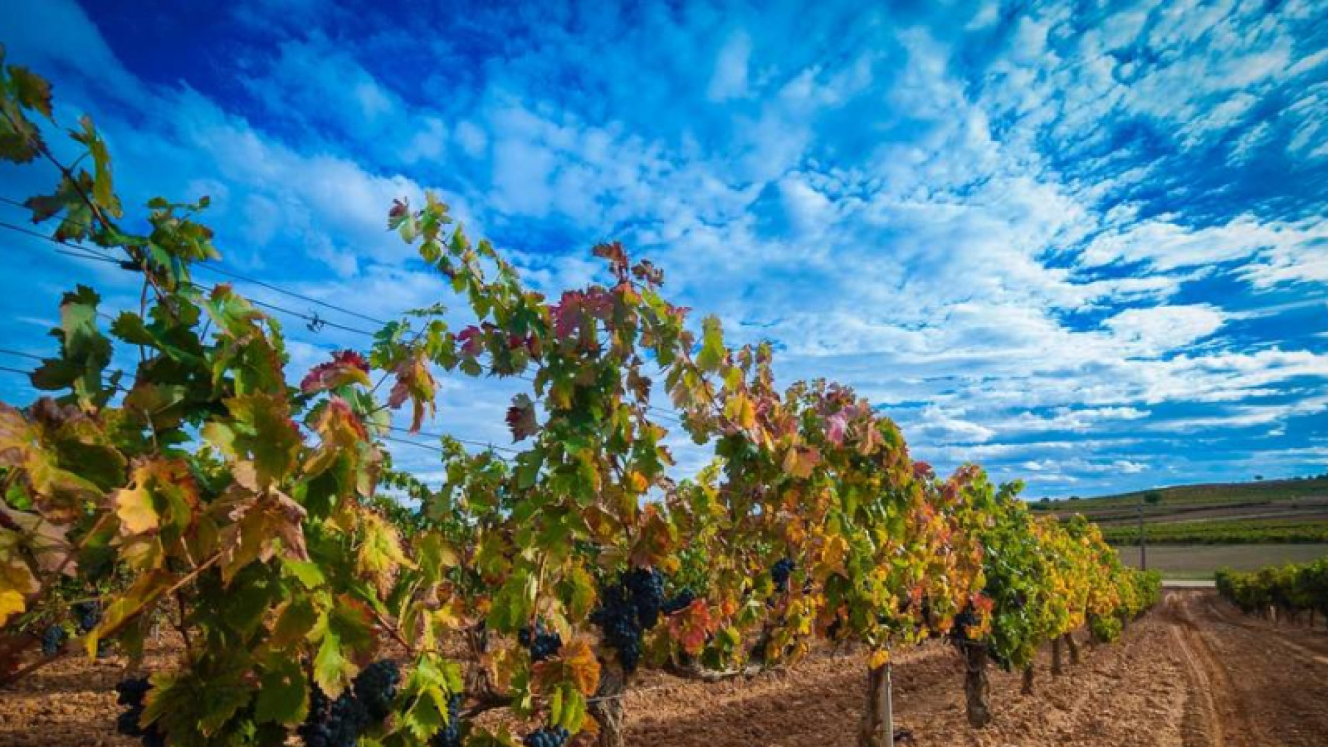 Castilla y León se asoma a una nueva era: inestabilidad económica y futuro incierto