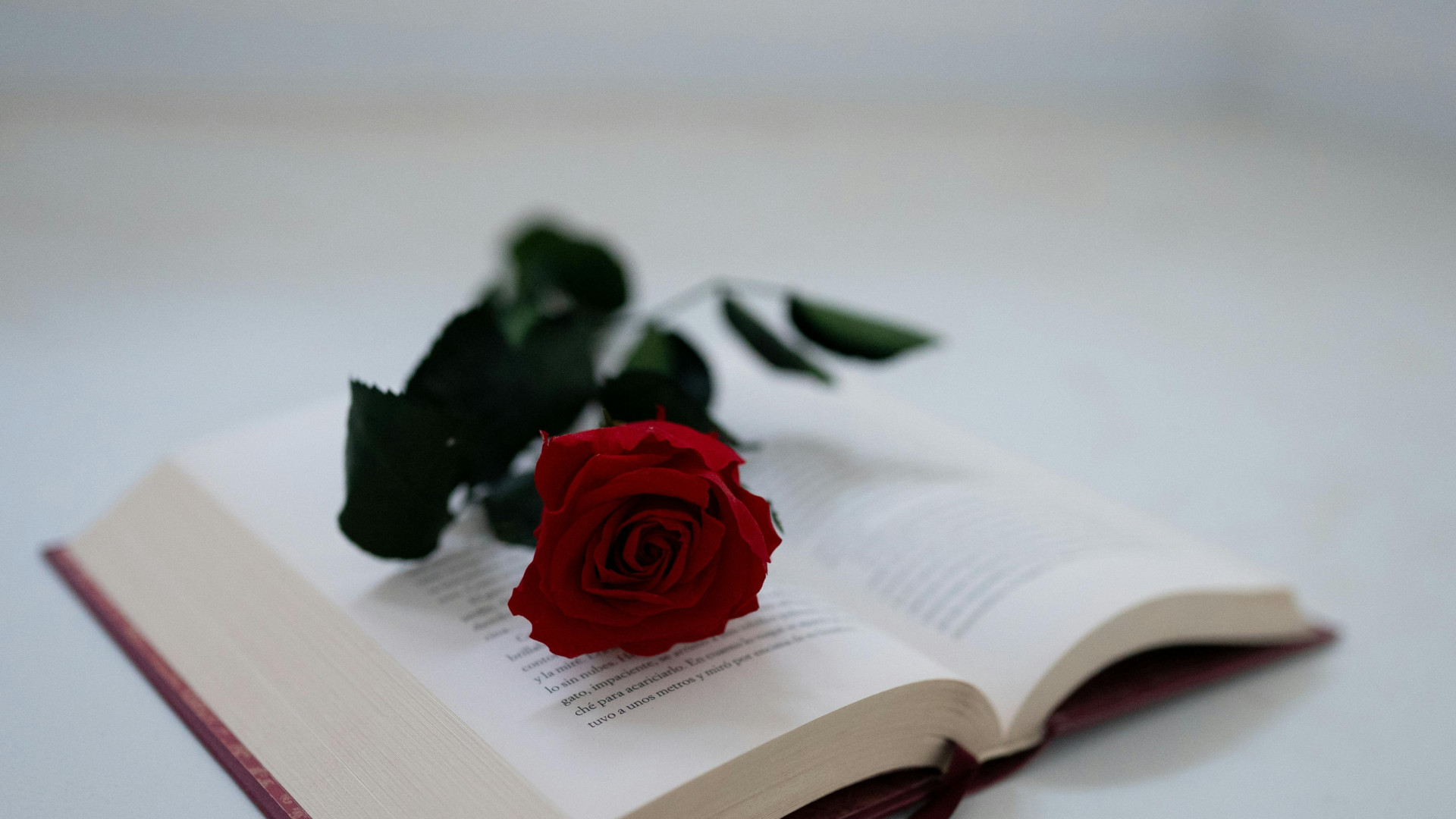 Barcelona reinventa su Sant Jordi y se expande por la ciudad sin La Rambla