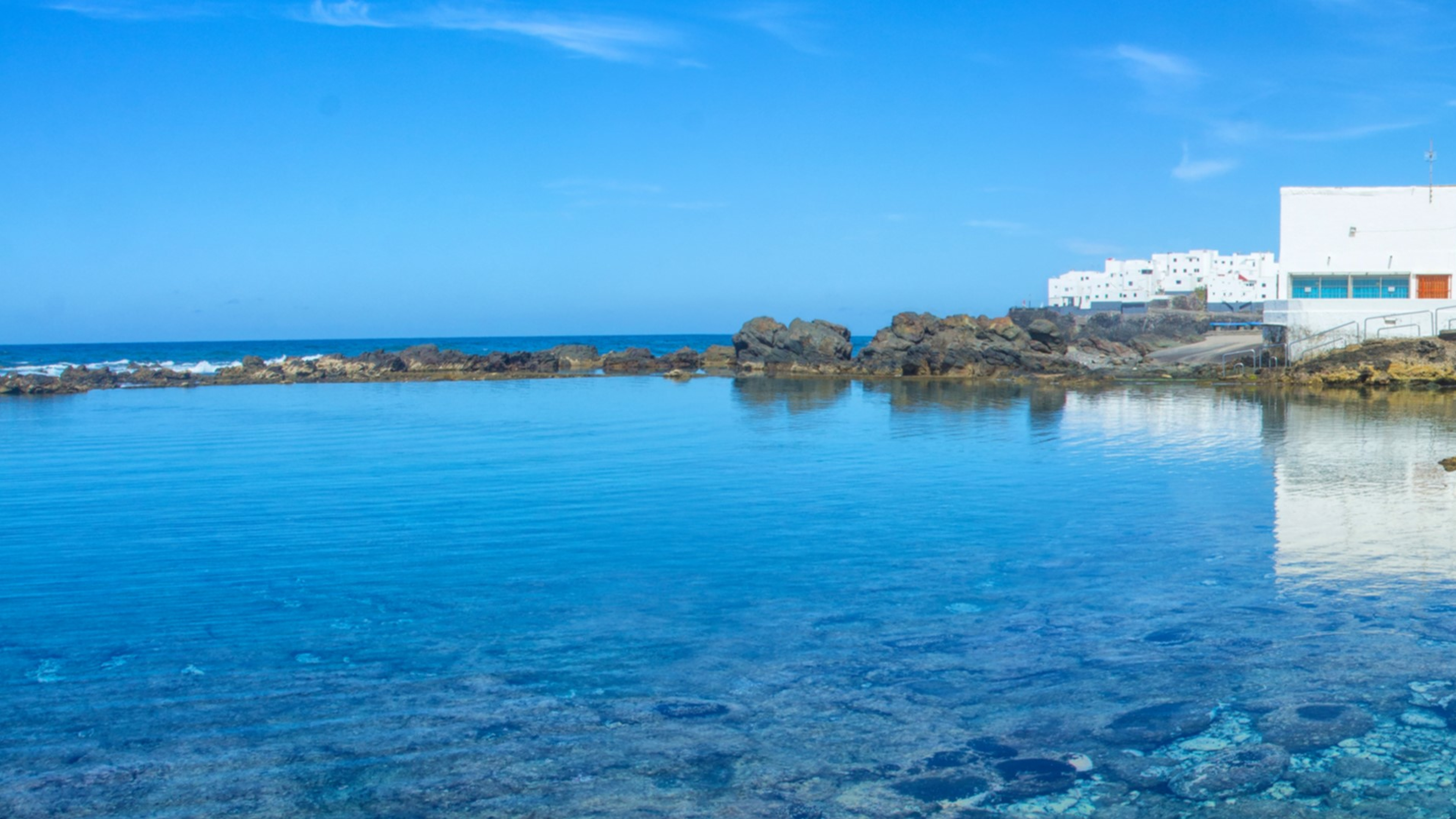 Charlie Sarria, investigador: "Entre que se toman las muestras, se hace el artículo científico se suele tener esta demora"