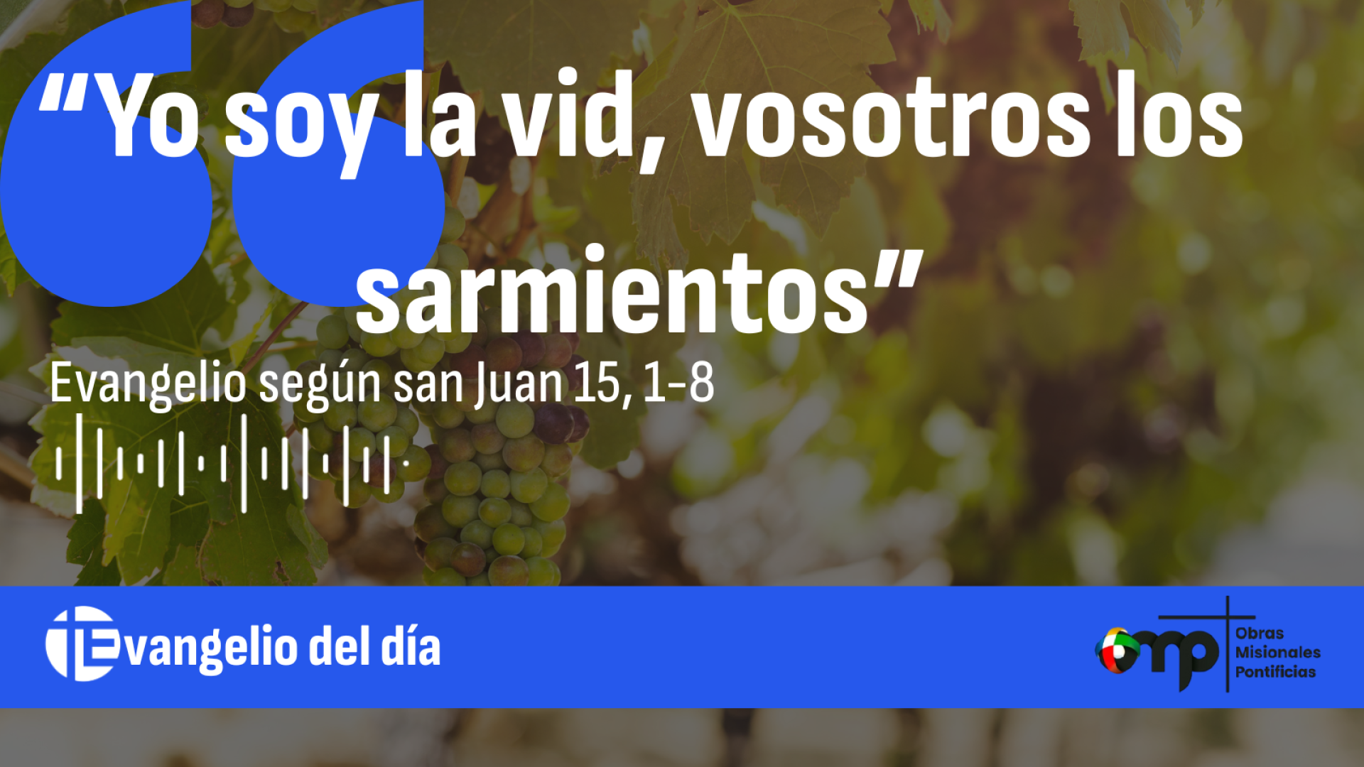 “ Yo soy la vid, vosotros los sarmientos ”