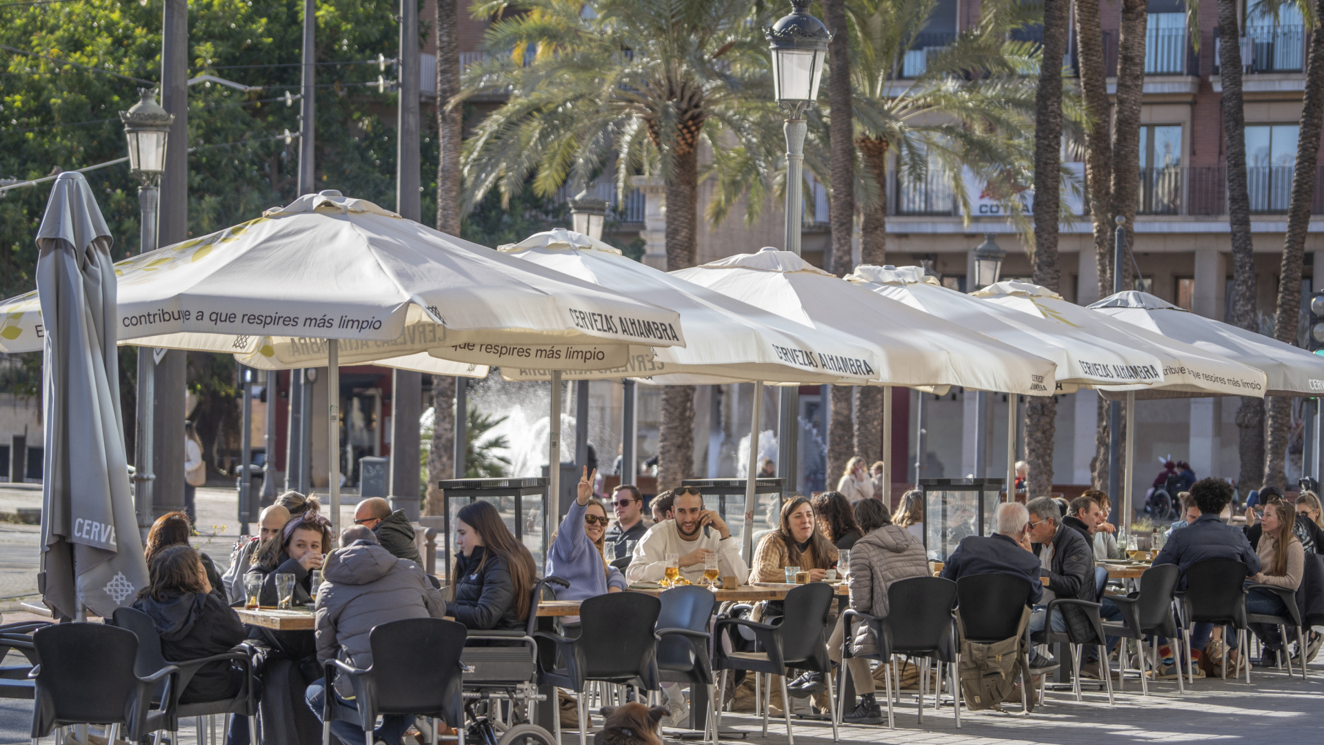 La hostelería de Ruzafa responde y da su opinión sobre la ZAS: 