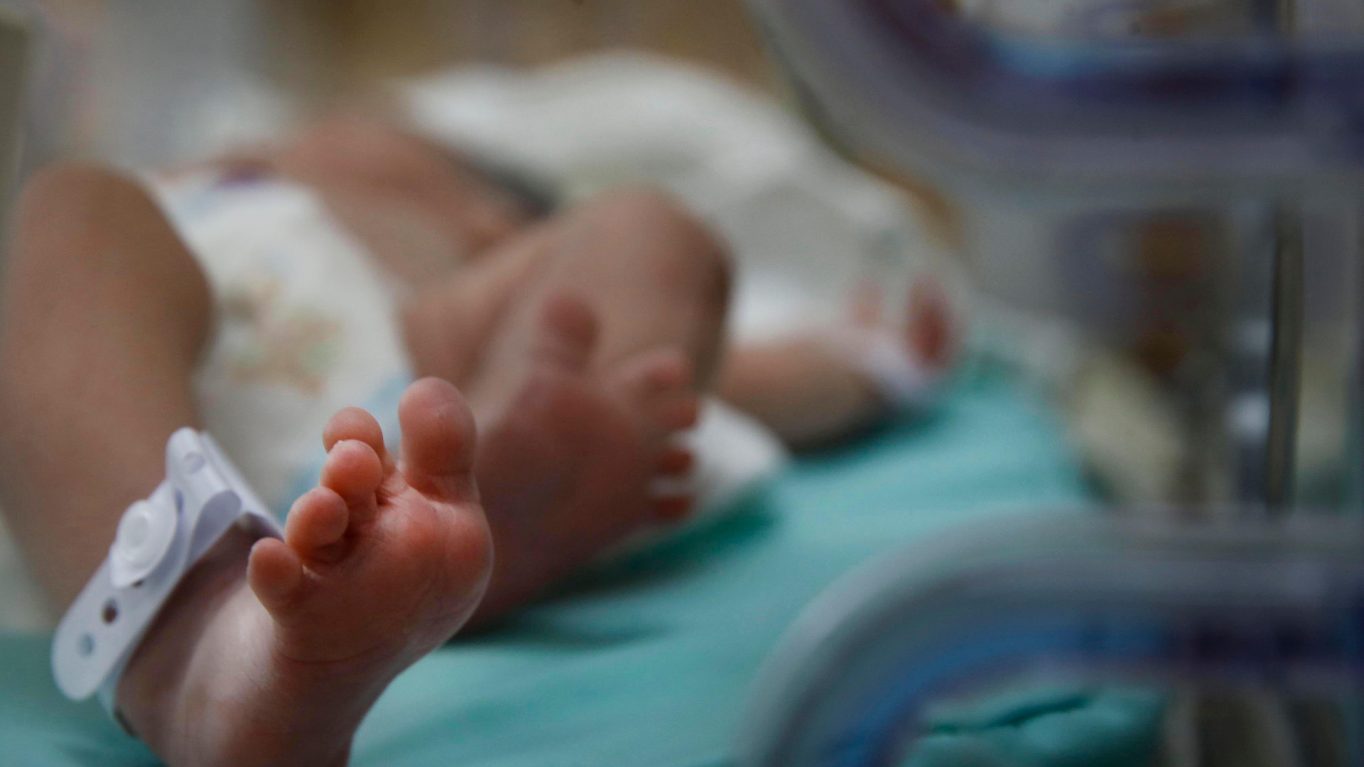 La ginecóloga Elena Espinosa revela la técnica que diagnostica el 99% de la infertilidad: "Es un camino hacia la sanación"