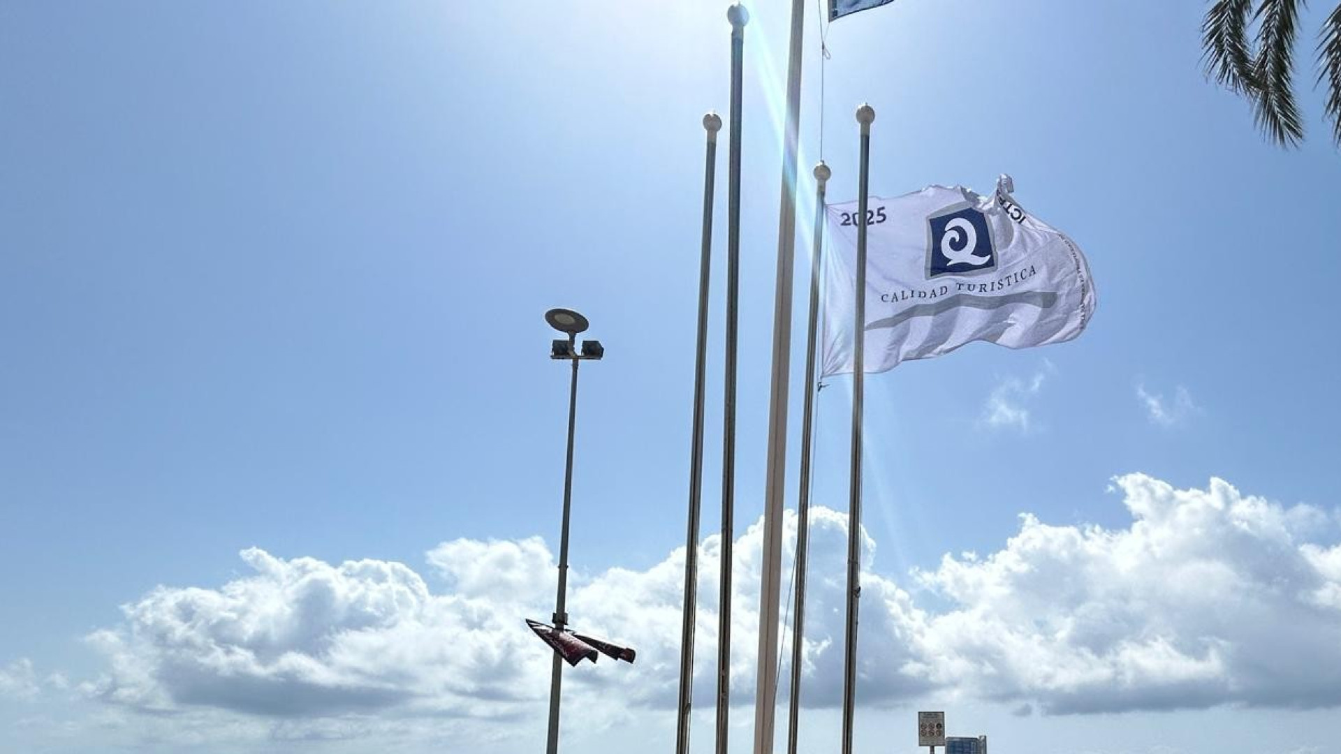 La bandera que certifica el “turismo perfecto” ya ondea en el corazón de Alicante