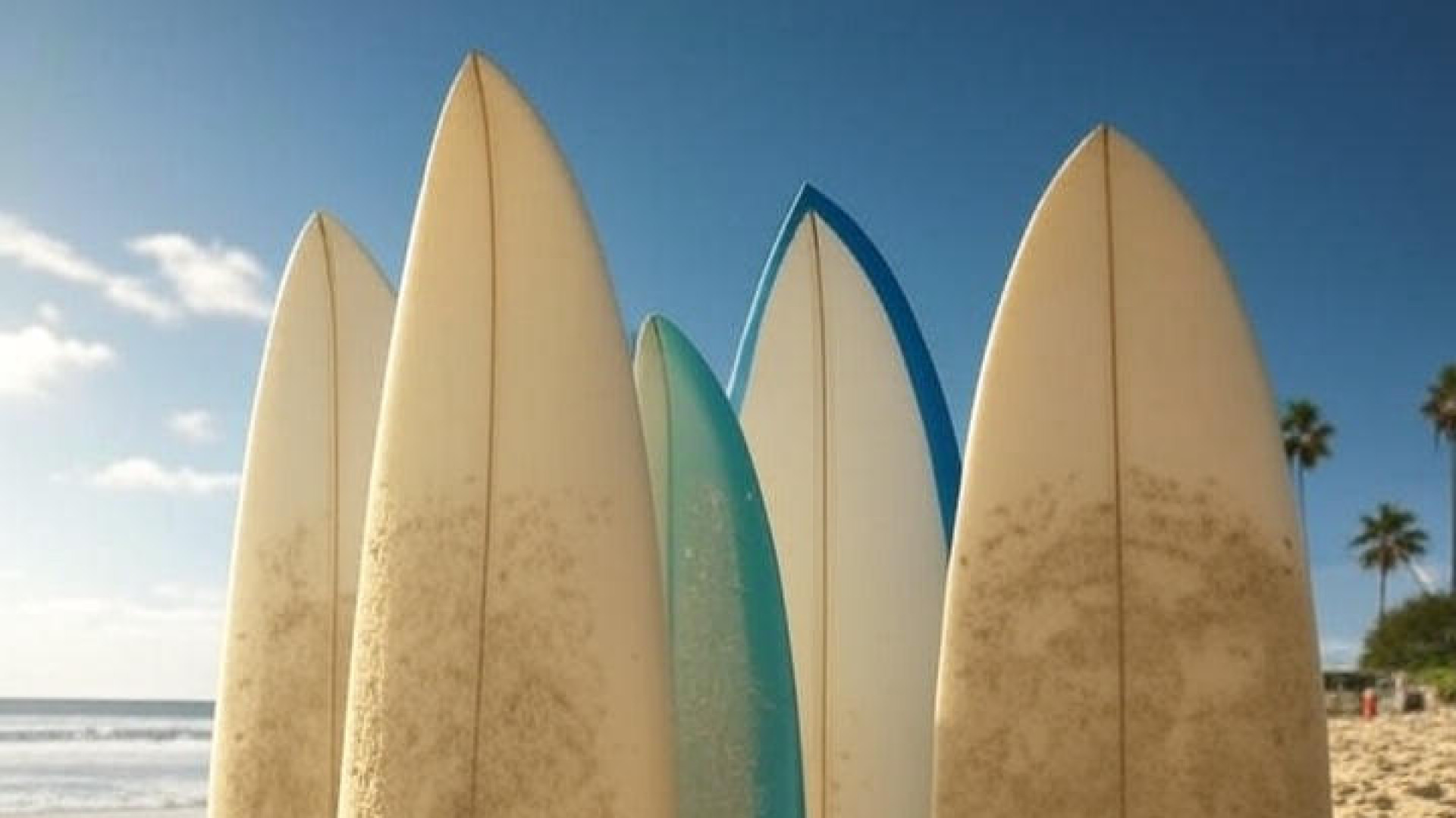 Condenado a 71 años de cárcel el monitor de surf de Hondarribia por abusar de 11 alumnos menores